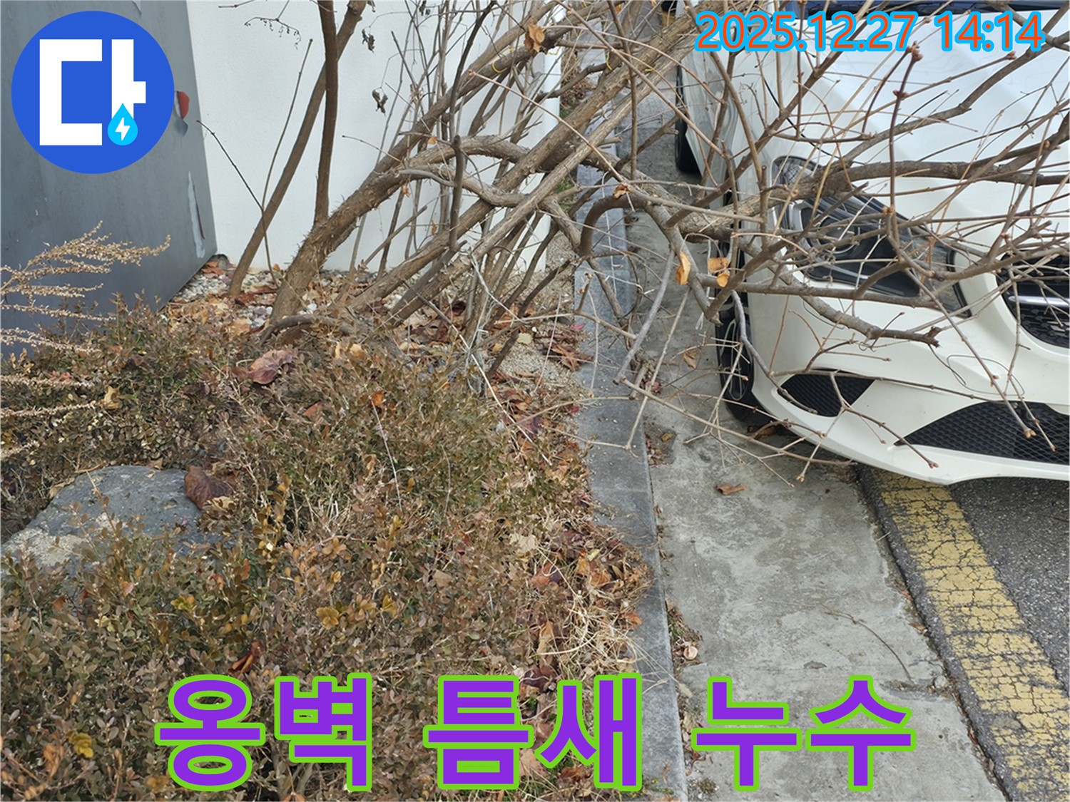 고급 주택가 콘크리트 옹벽 틈새 누수 - 꼼꼼한 점검과 완벽한 보수 작업으로 누수 문제를 깔끔하게 해결했습니다.