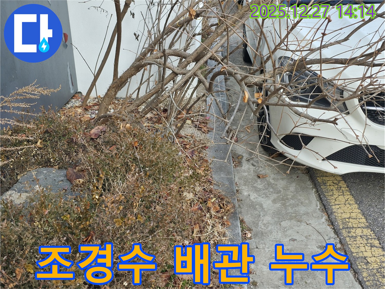 백현동 단독 주택 정원 조경수 관리용 배관 누수 - 정확한 누수 지점 파악으로 불필요한 공사를 줄이고 비용을 절감합니다.