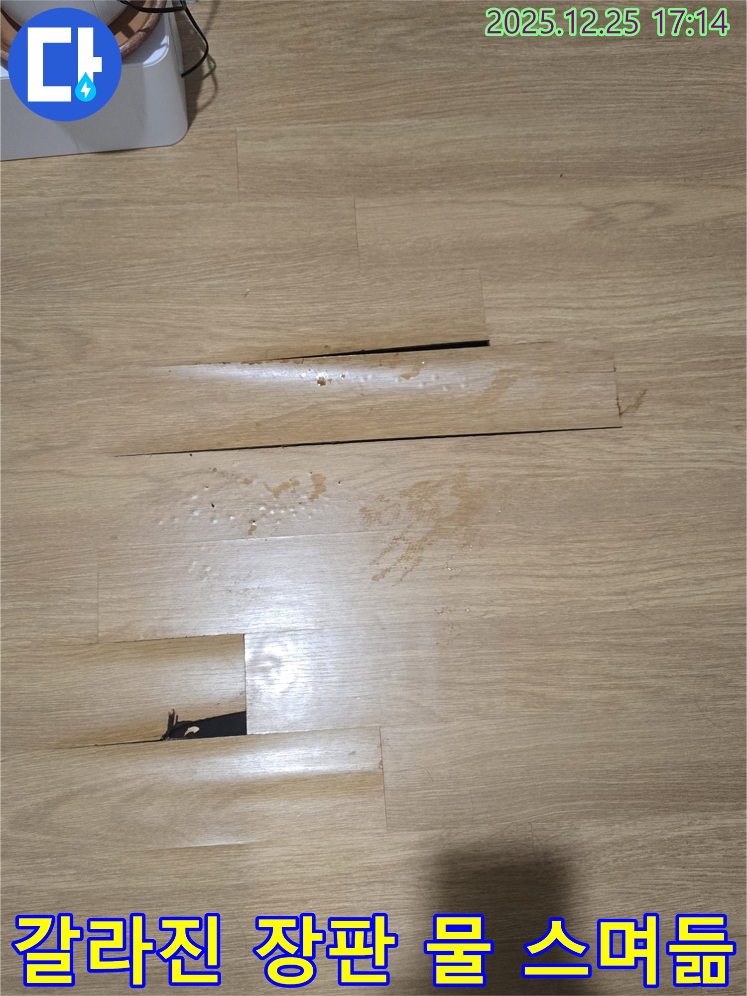 평내동 아파트 누수 현장 - 갈라진 장판 틈새로 스며든 물 - 누수 진행 상황을 보여주는 중요한 증거입니다.