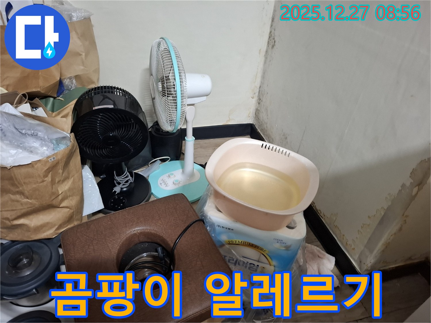 송파구 삼전동 누수 현장 - 곰팡이 알레르기 - 멈추지 않는 재채기 - 곰팡이 제거 필수.