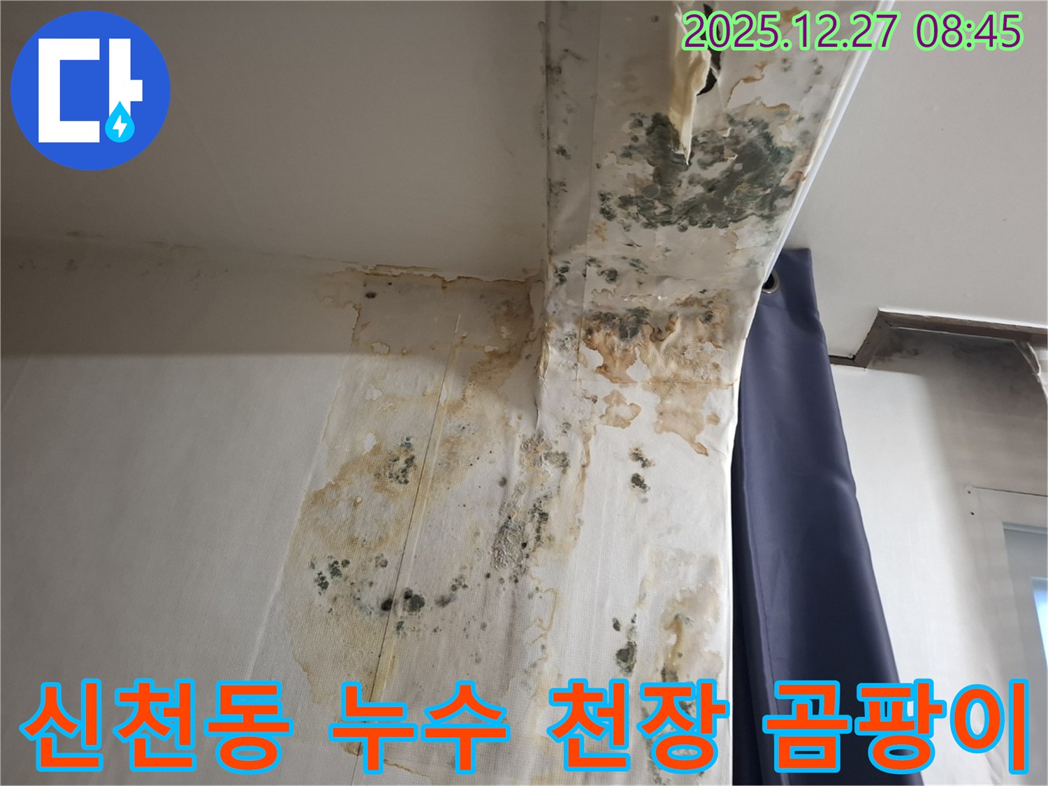 신천동 누수 현장 - 곰팡이 슨 천장 응급 복구, 누수탐지 전문가의 빠른 조치