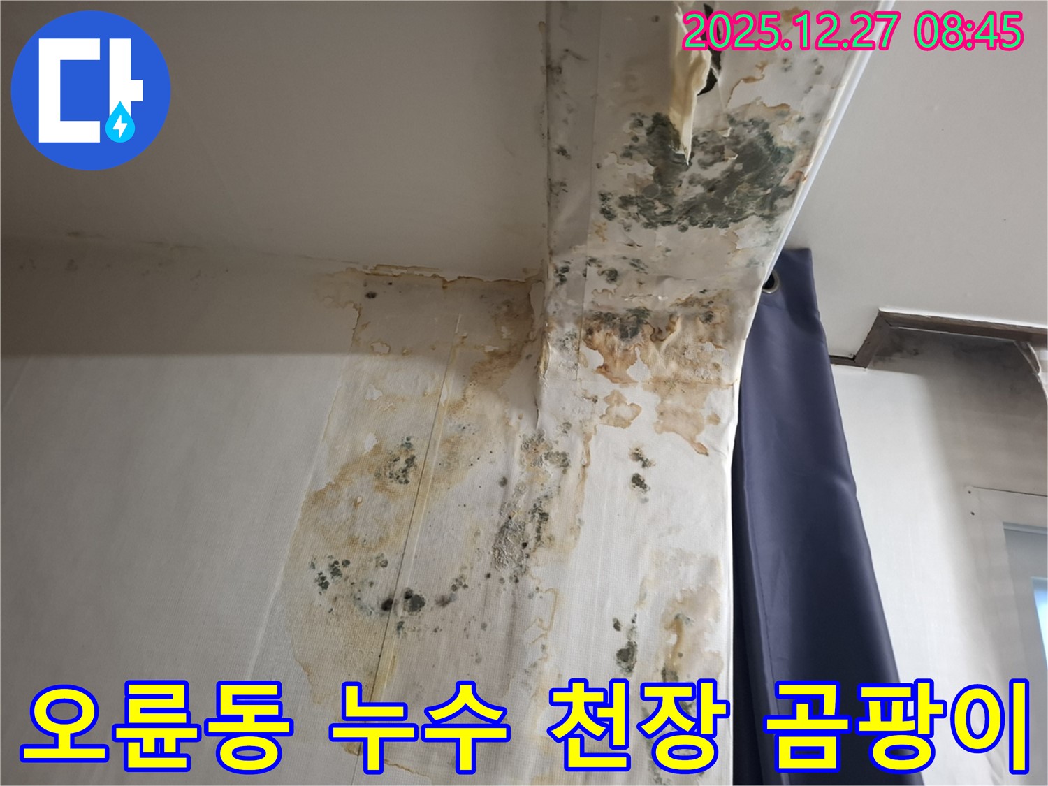 오륜동 누수 현장 - 천장 곰팡이 발생, 누수탐지 전문가의 원인 분석