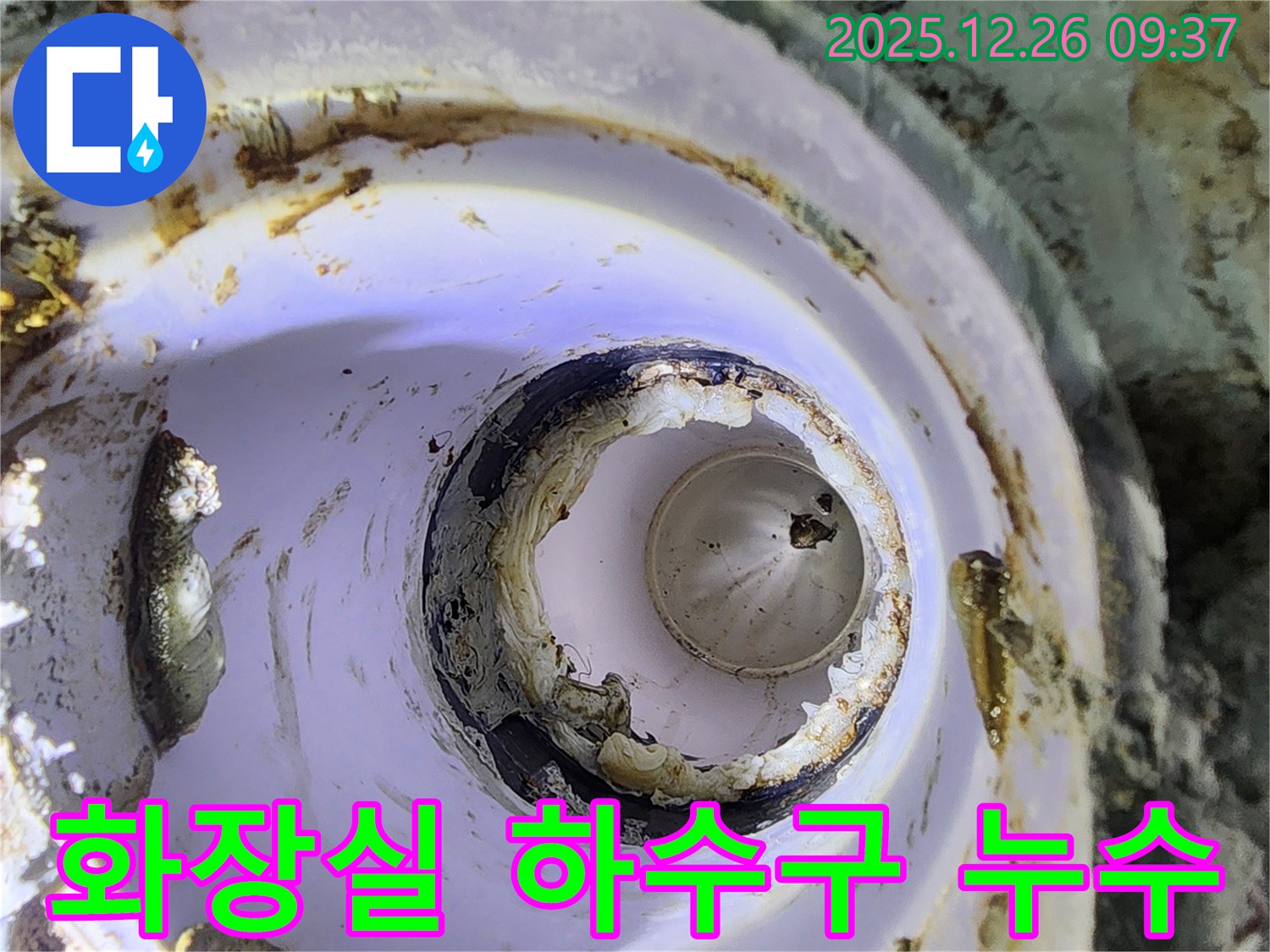 노원구 상계동 화장실 하수구 배관 누수 - 누수탐지 전문 업체가 최첨단 장비를 사용하여 누수 원인을 정확하게 진단하고, 완벽하게 수리합니다.