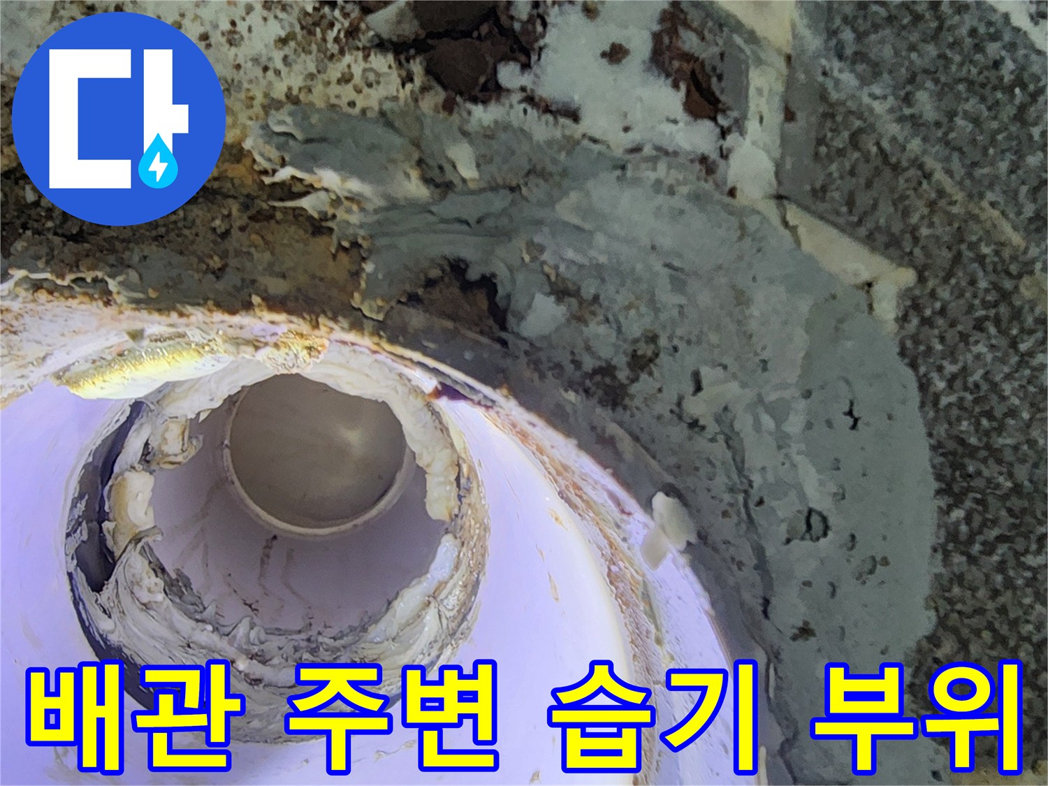 물에 젖어 변색된 천장 마감재와 하수 배숭의 접합부