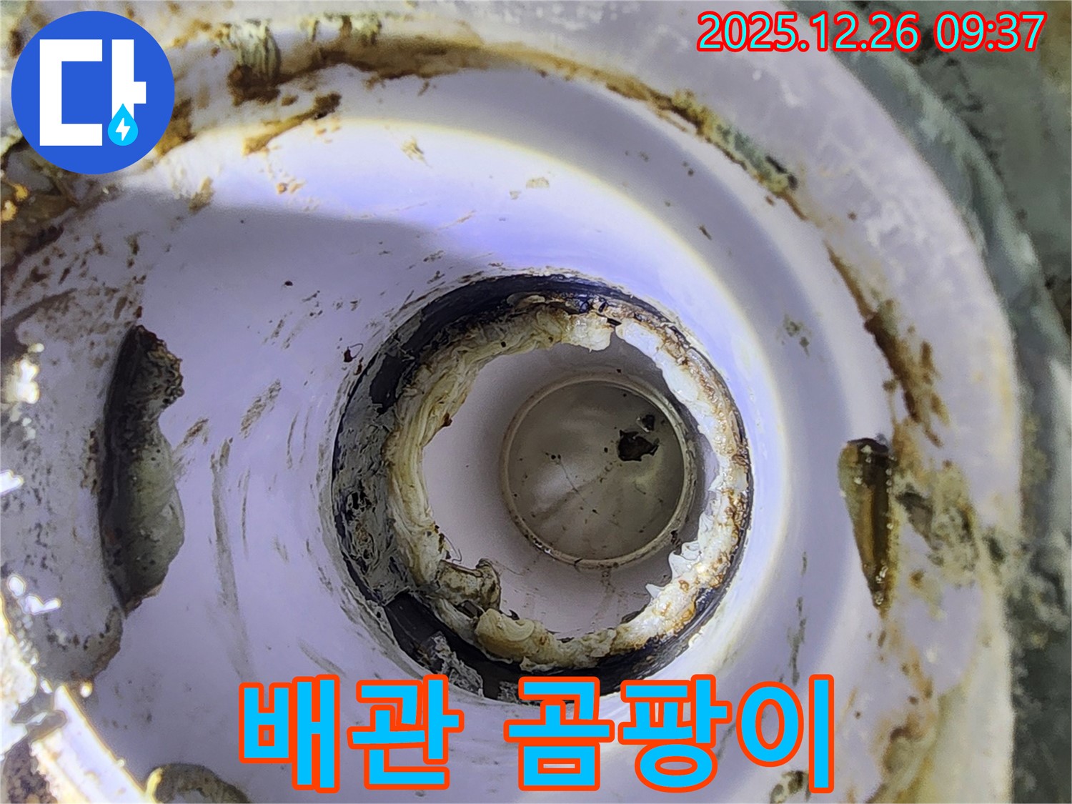 배관 내부 곰팡이 - 깨끗한 물을 위해 상계1동 누수 전문가가 해결합니다.