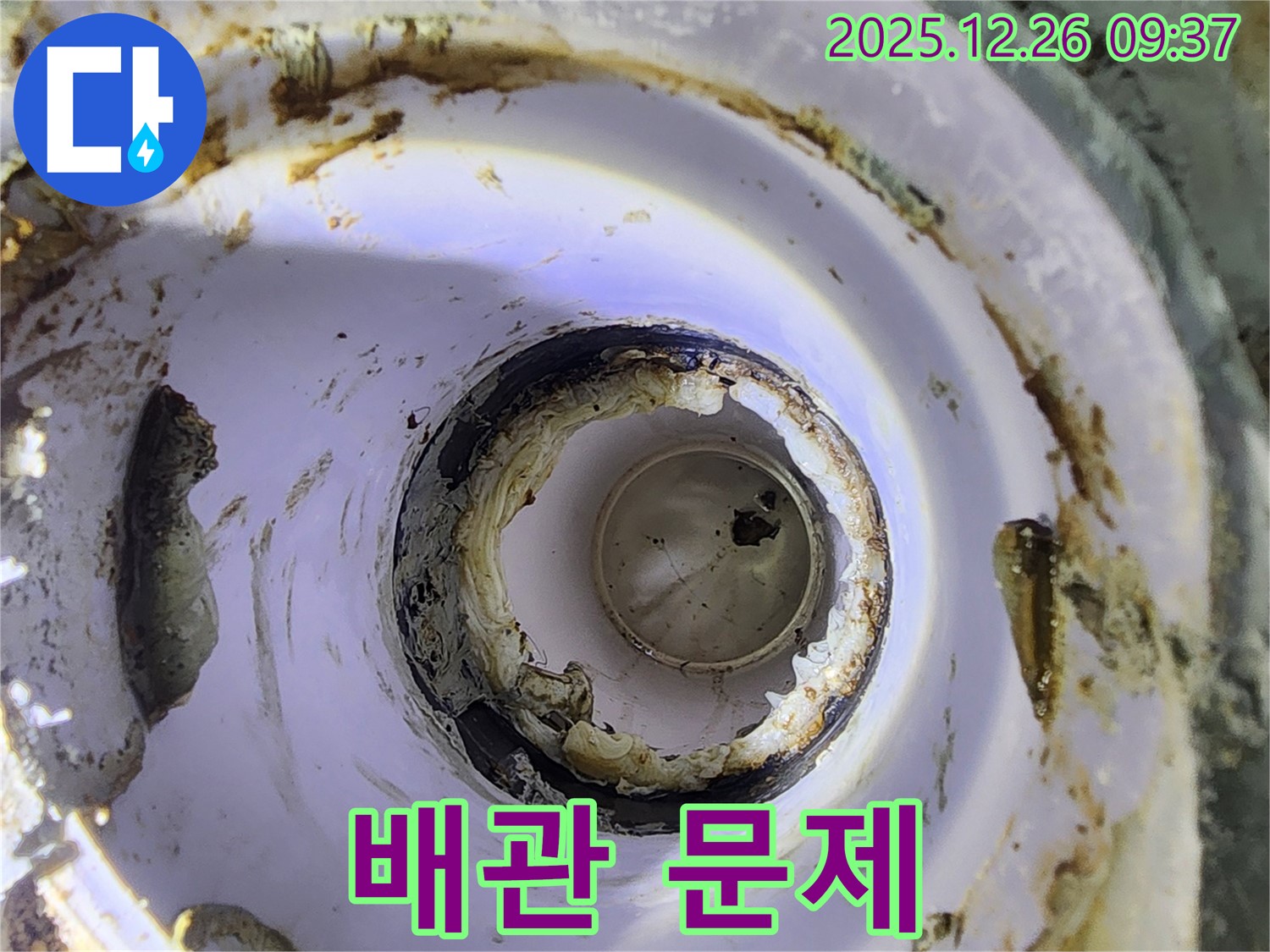 배관 문제 발생 지점 - 누수가 시작된 정확한 위치를 보여줍니다.