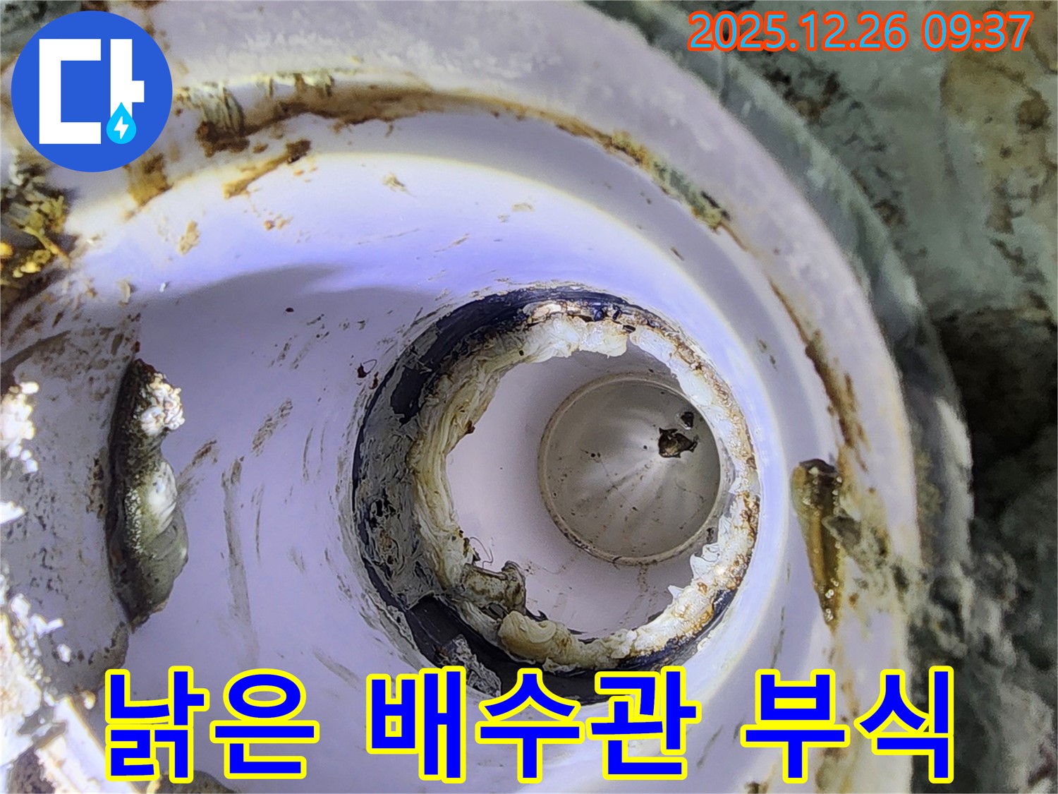 상계1동 낡은 배수관 - 부식과 누수의 시작