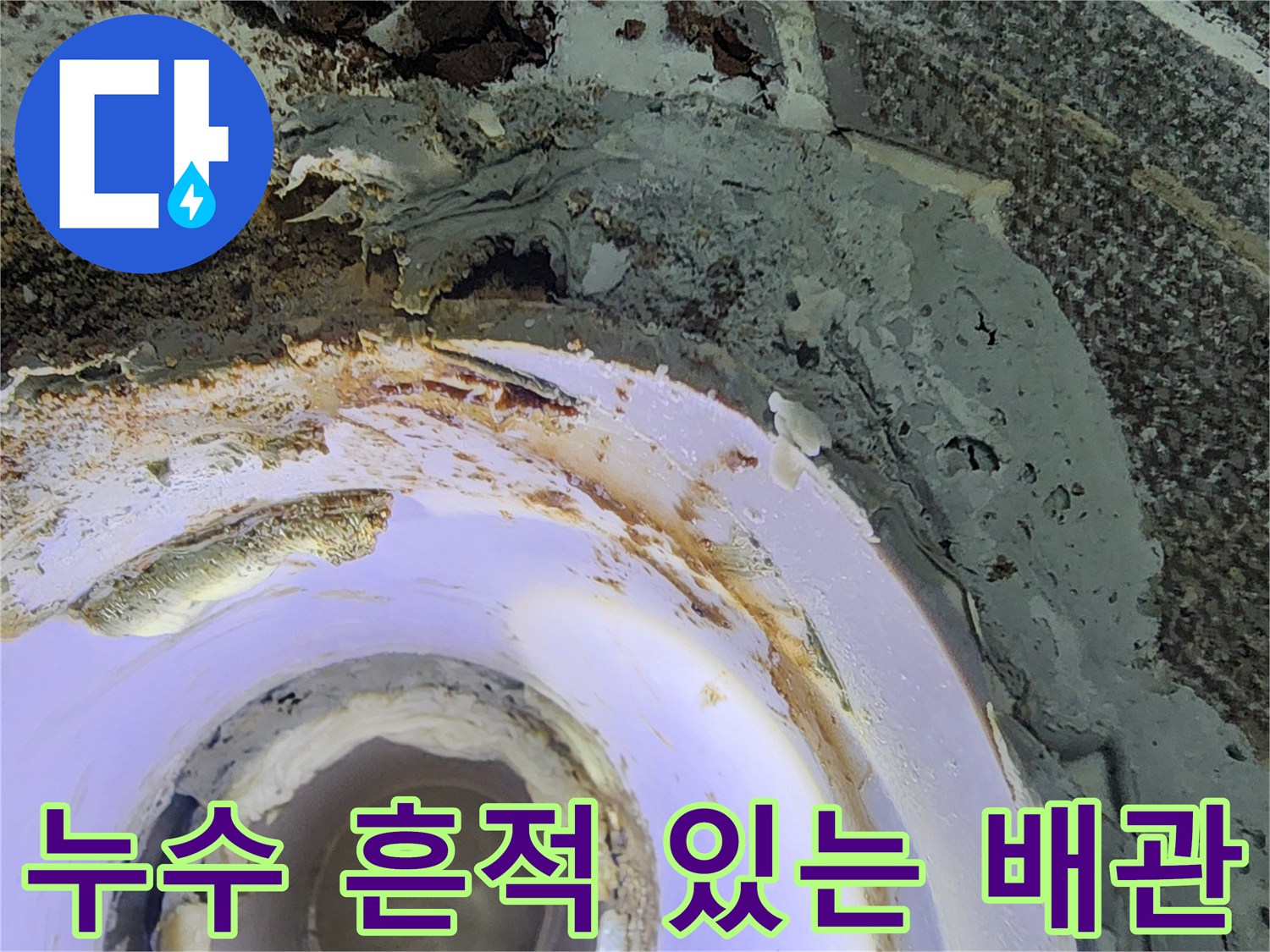 욕실-천장-배관-주변의-습기-및-오염-상태