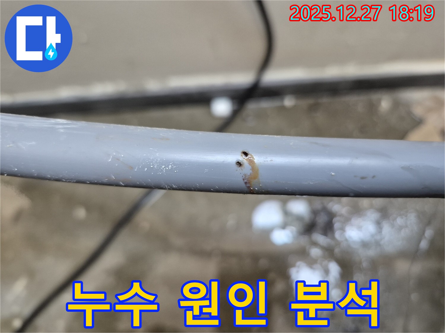 배관에 생긴 두 개의 작은 구멍 - 누수 발생의 직접적인 증거입니다.