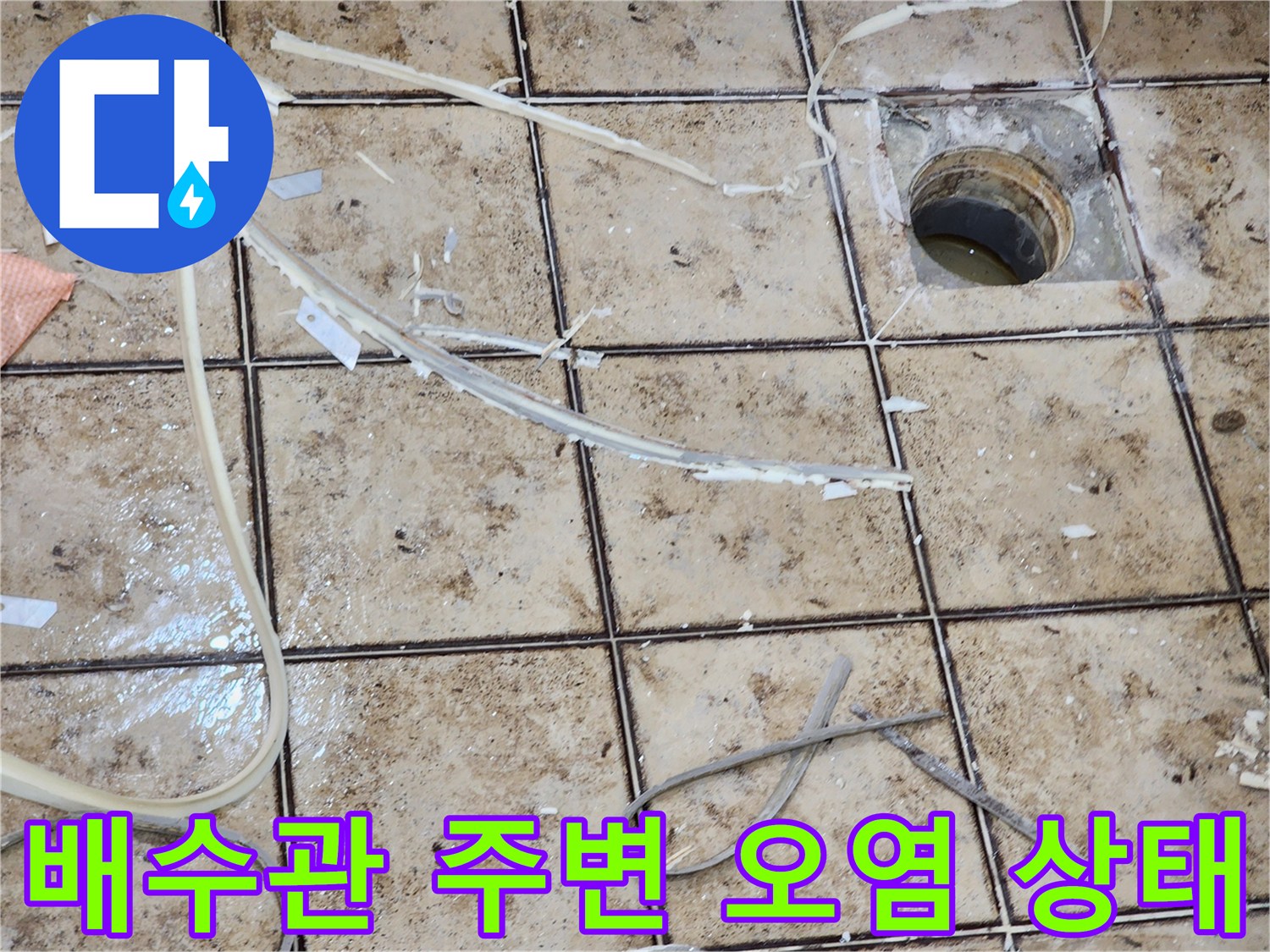 배수구-유가-주변의-머리카락과-이물질이-섞인-상태