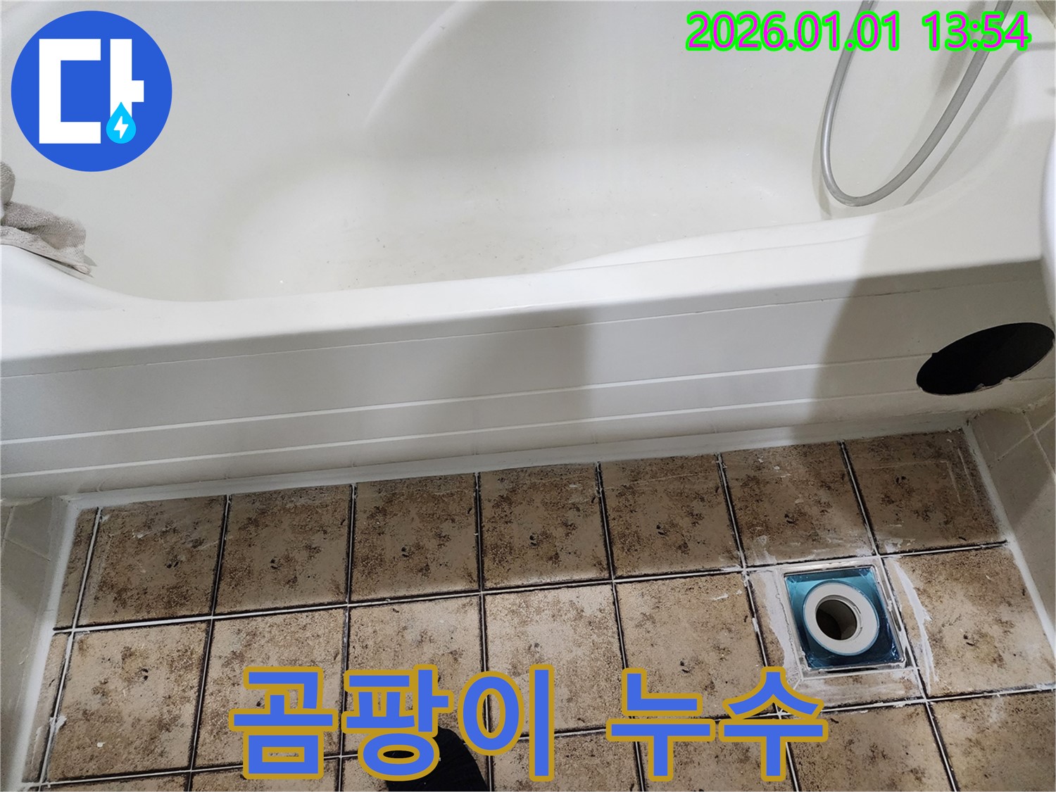 일산 욕조 배수구 주변 곰팡이 발생 및 누수 - 곰팡이 제거 및 누수 원인 해결!