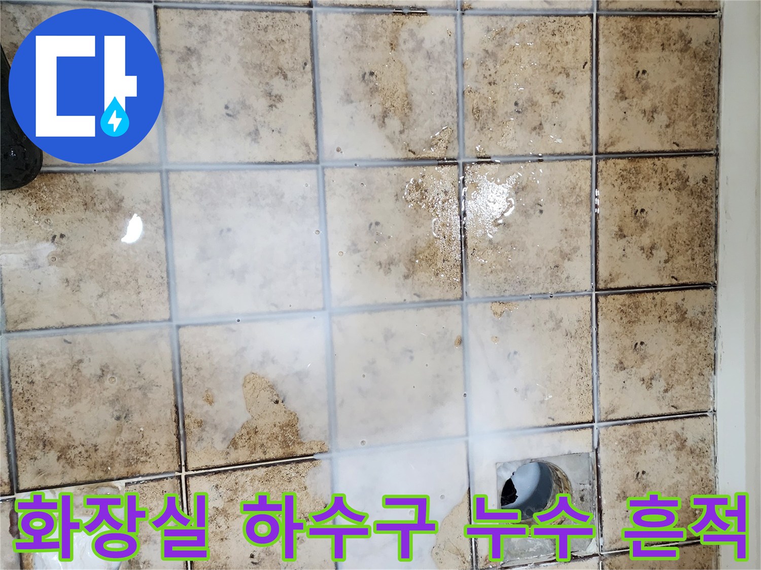 일산동구 욕실-배수구 주변의 심한 타일 변색과 물고임