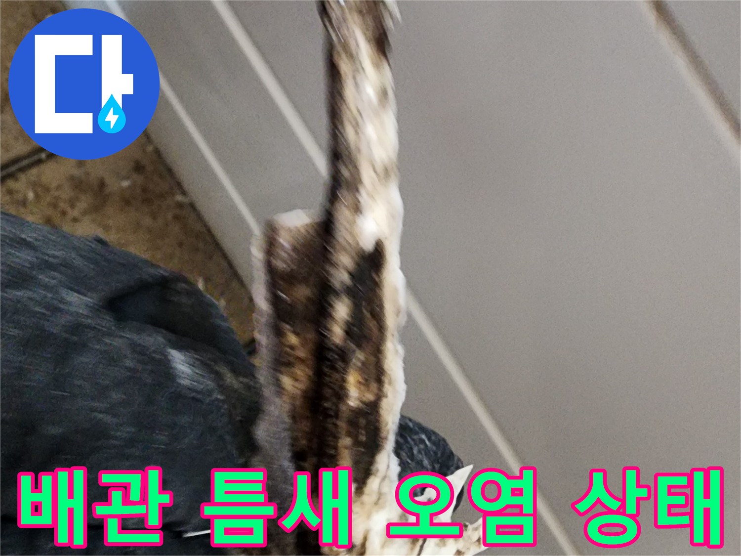 하수구-배관-주변의-찌꺼기와-이물질로-오염된-모습