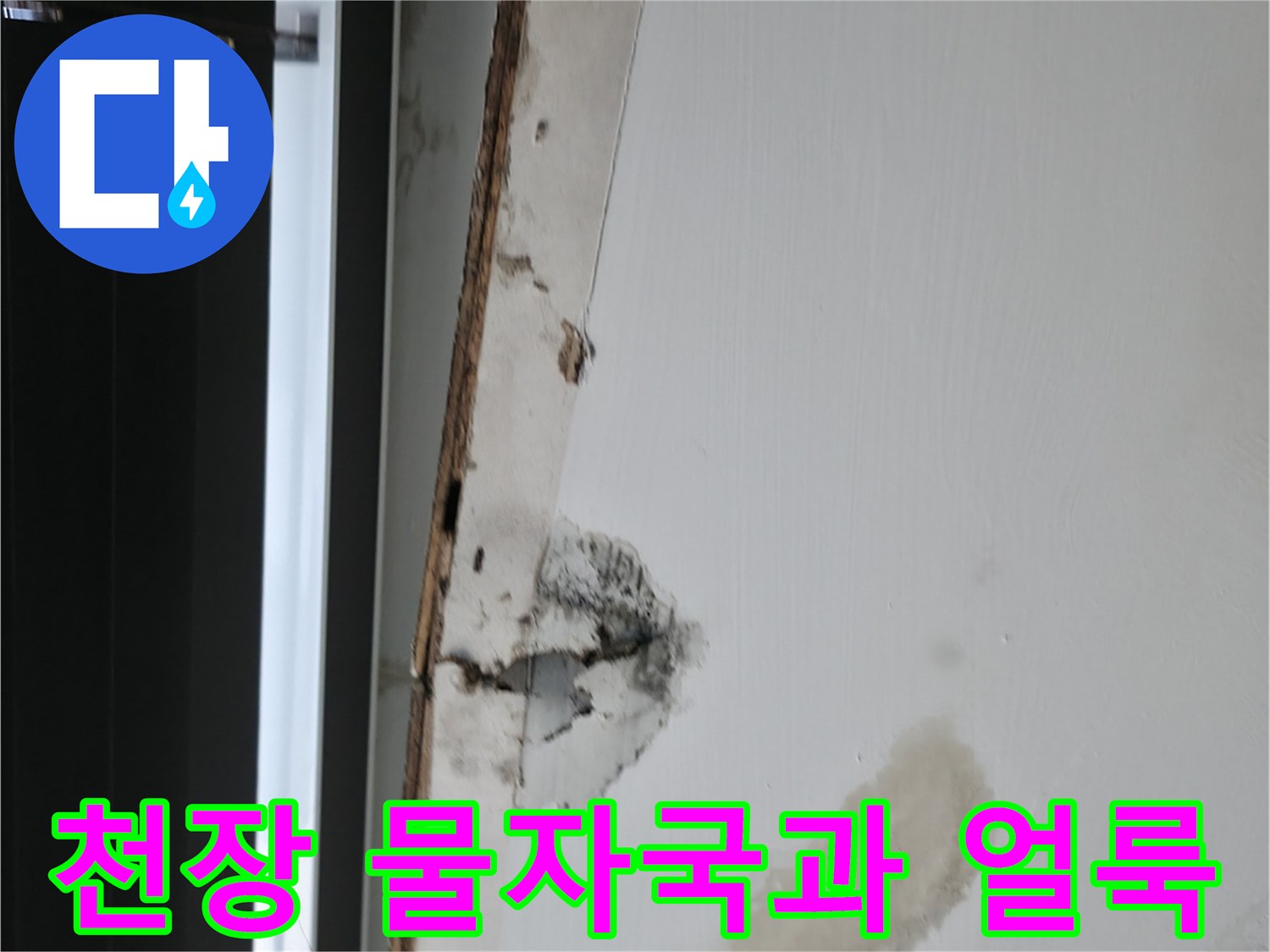 사무실-천장-내부의-누수-흔적과-곰팡이-발생-상황