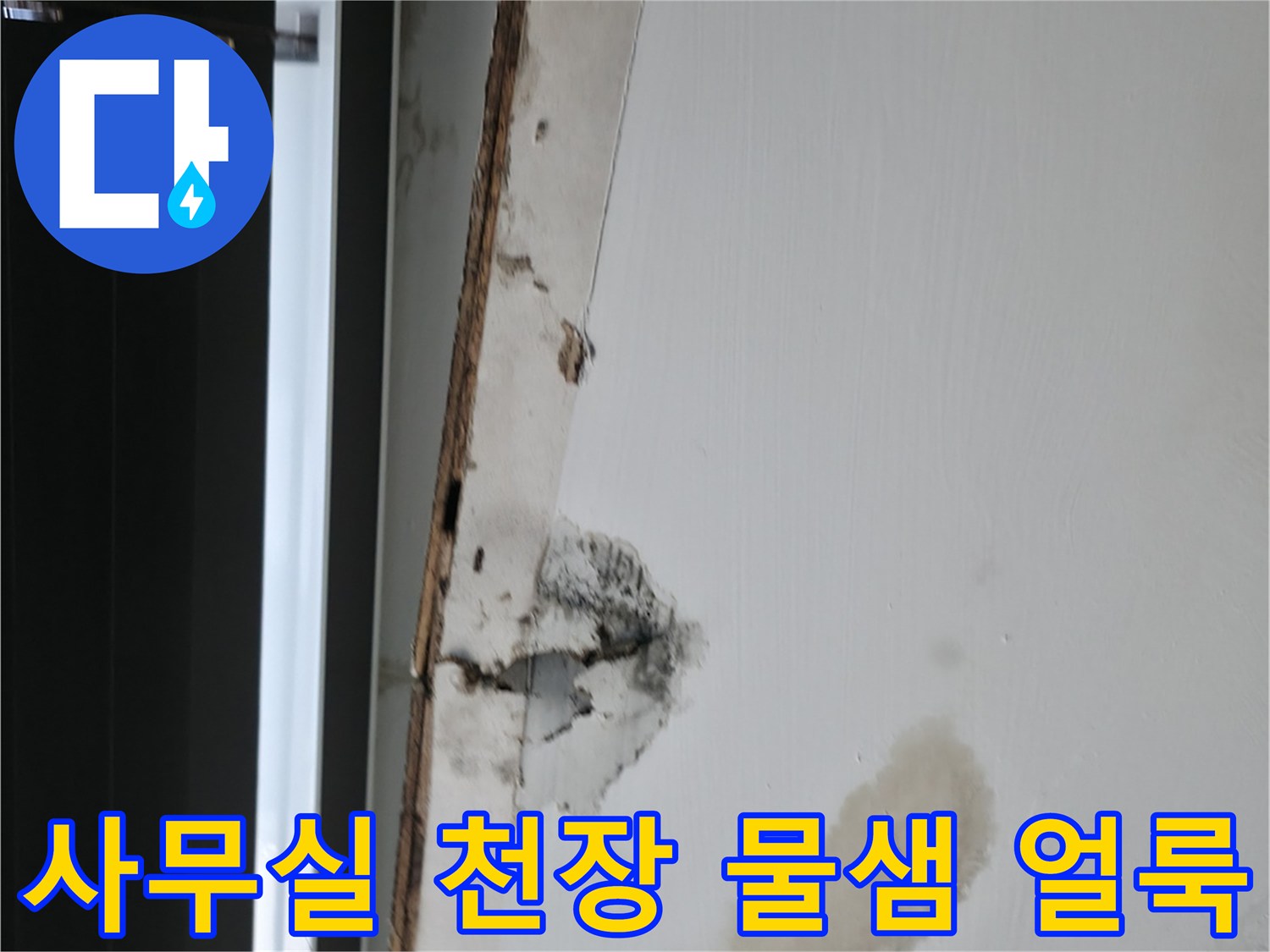 용인 기흥구 사무실-천장 누수 흔적과 곰팡이 발생 상태