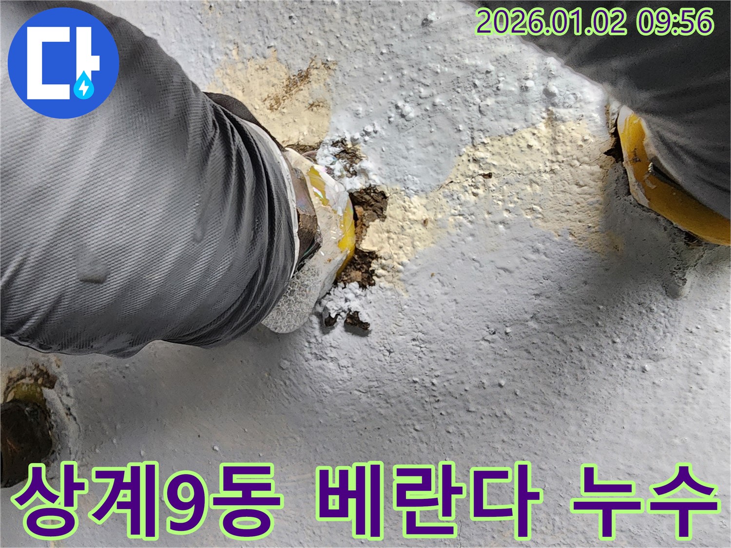 노원구 상계9동 누수 현장 - 베란다 누수, 곰팡이와 결로의 콜라보?!