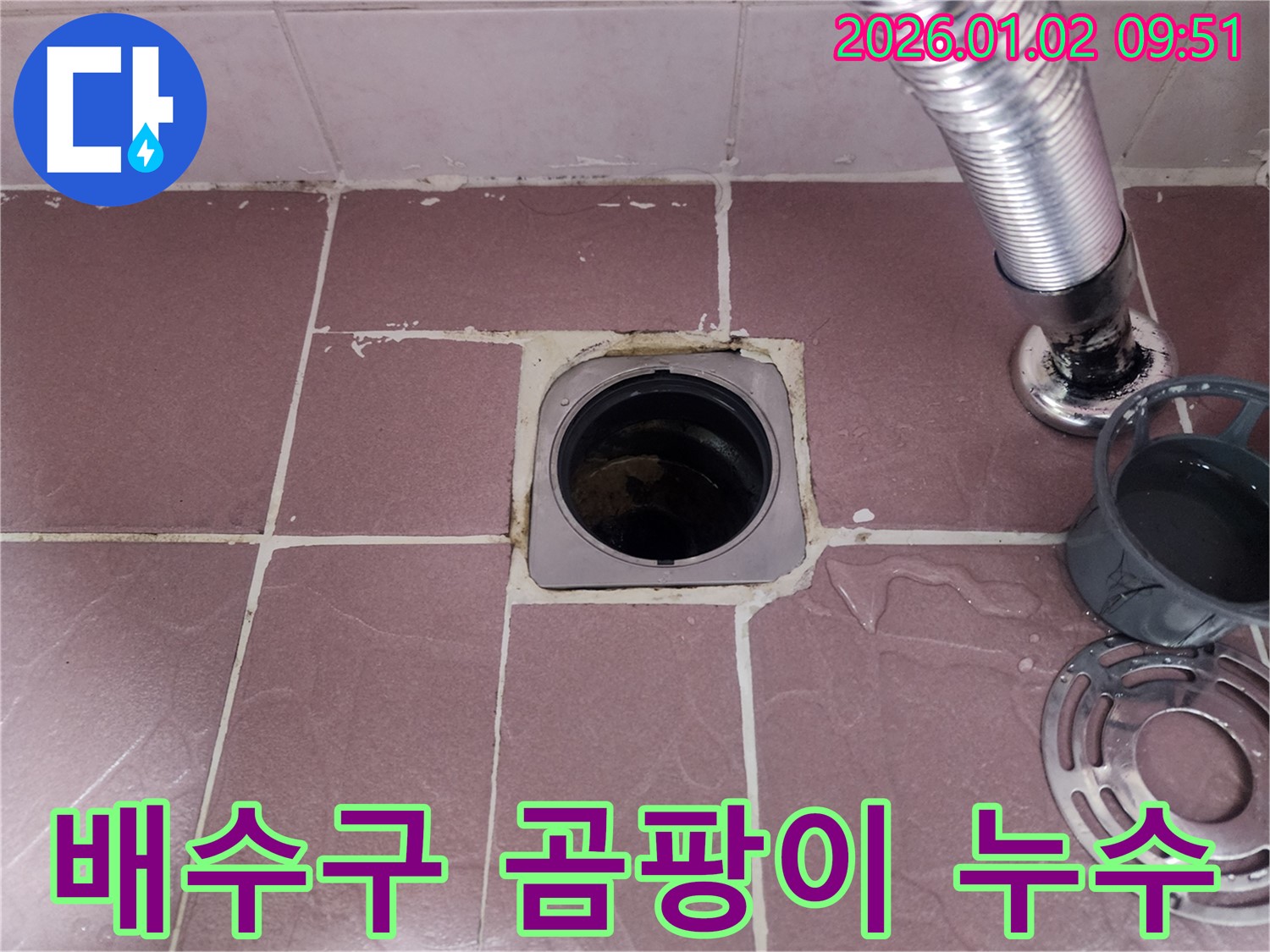 배수구 주변 곰팡이 - 누수로 인해 습기가 많아 곰팡이가 번식하기 쉬운 환경입니다.
