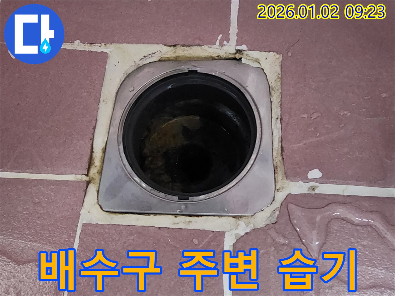 상계9동 욕실 누수 - 배수구 주변 습기, 누수 의심 시 전문가 점검 필수