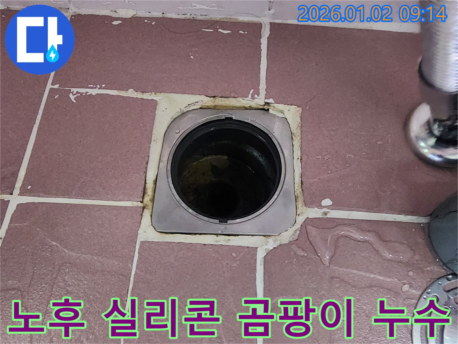 상계9동 욕실 배수구 - 노후된 실리콘, 곰팡이 및 누수 원인