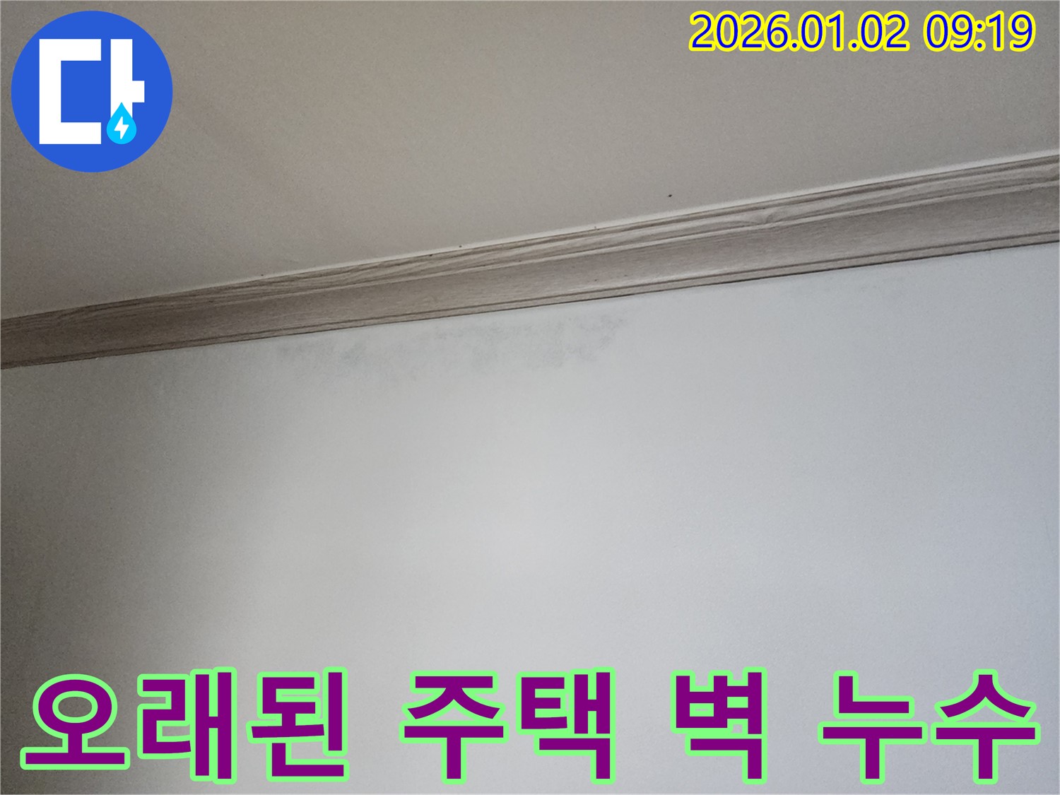 상계동 오래된 주택 벽 누수 - 꼼꼼한 진단과 완벽 해결