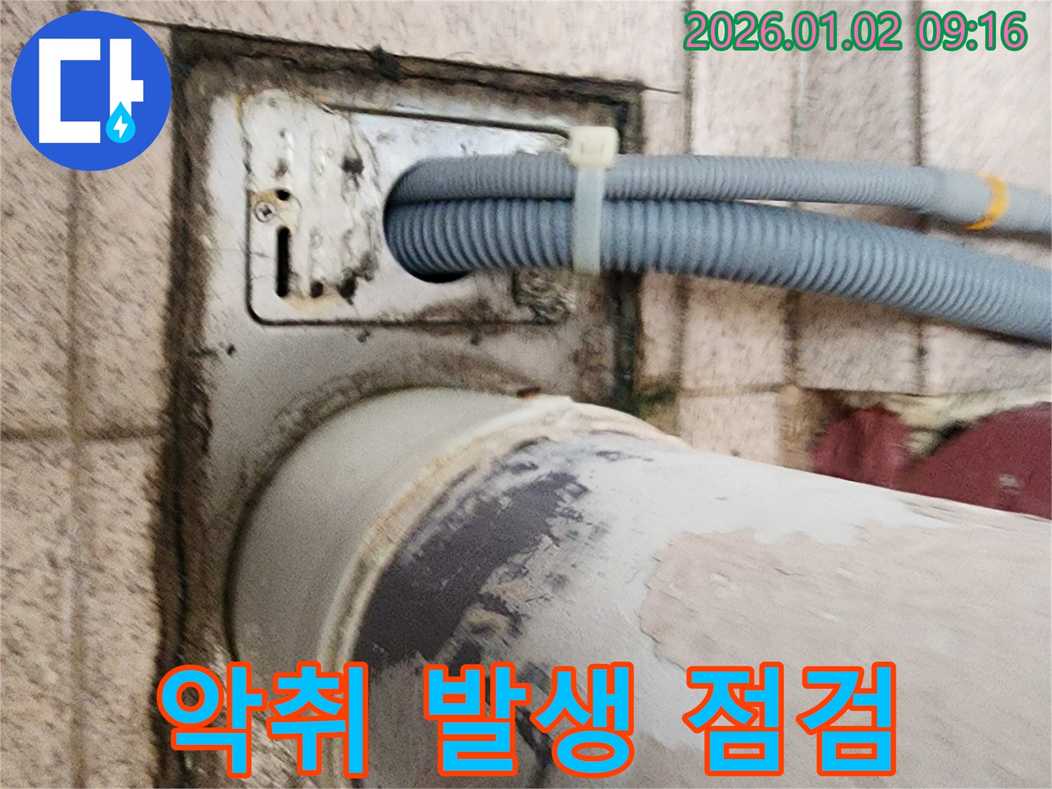 세탁기 배수구 주변 악취 발생 - 배수구에서 악취가 발생하여 하수구 상태를 점검하고 있습니다.