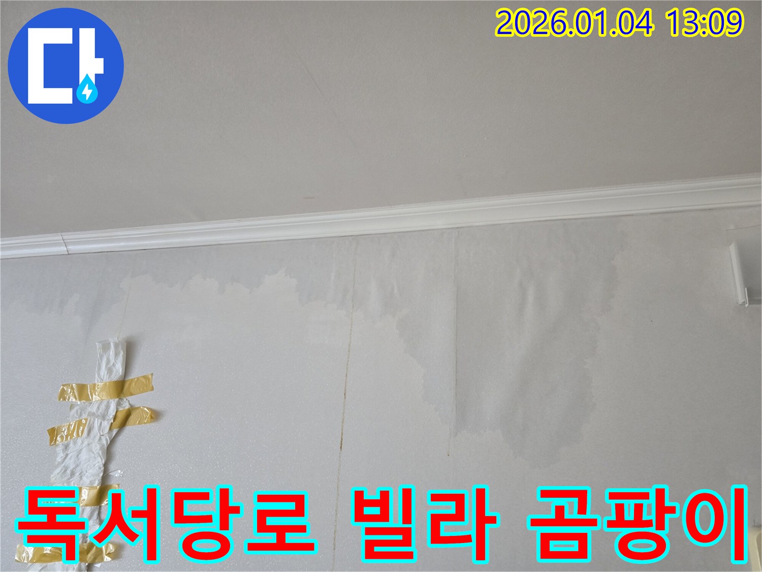 독서당로 빌라 벽 곰팡이 - 누수 전문가가 정확한 탐지와 완벽한 시공으로 누수를 차단하고 곰팡이까지 제거했습니다.