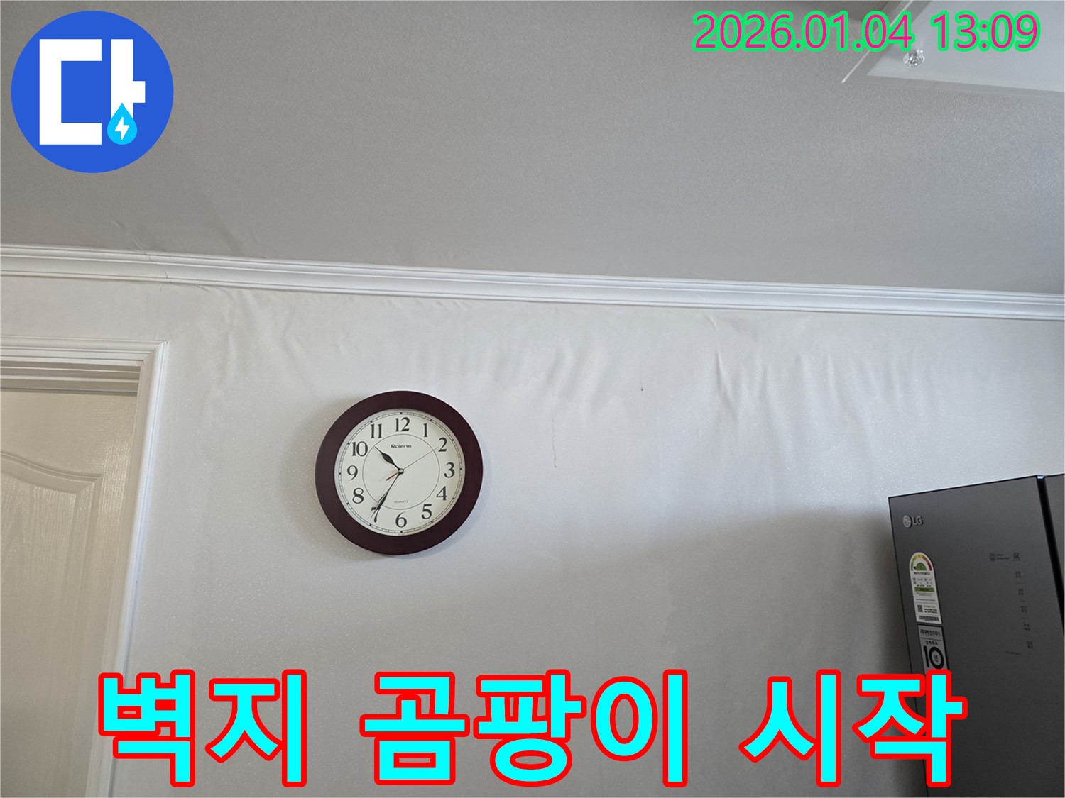 벽지 곰팡이와 새싹 - 옥수동 누수 현장에서 절망을 넘어 새로운 시작을 알리는 사진입니다.