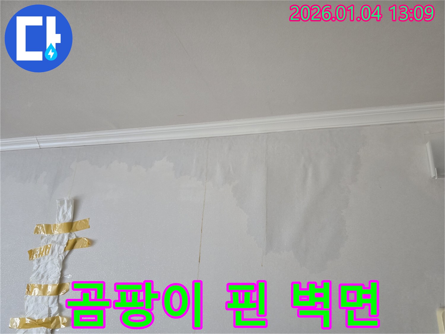성동구 독서당로 - 곰팡이가 심하게 핀 벽면 사진입니다 - 누수 문제의 심각성을 보여줍니다.
