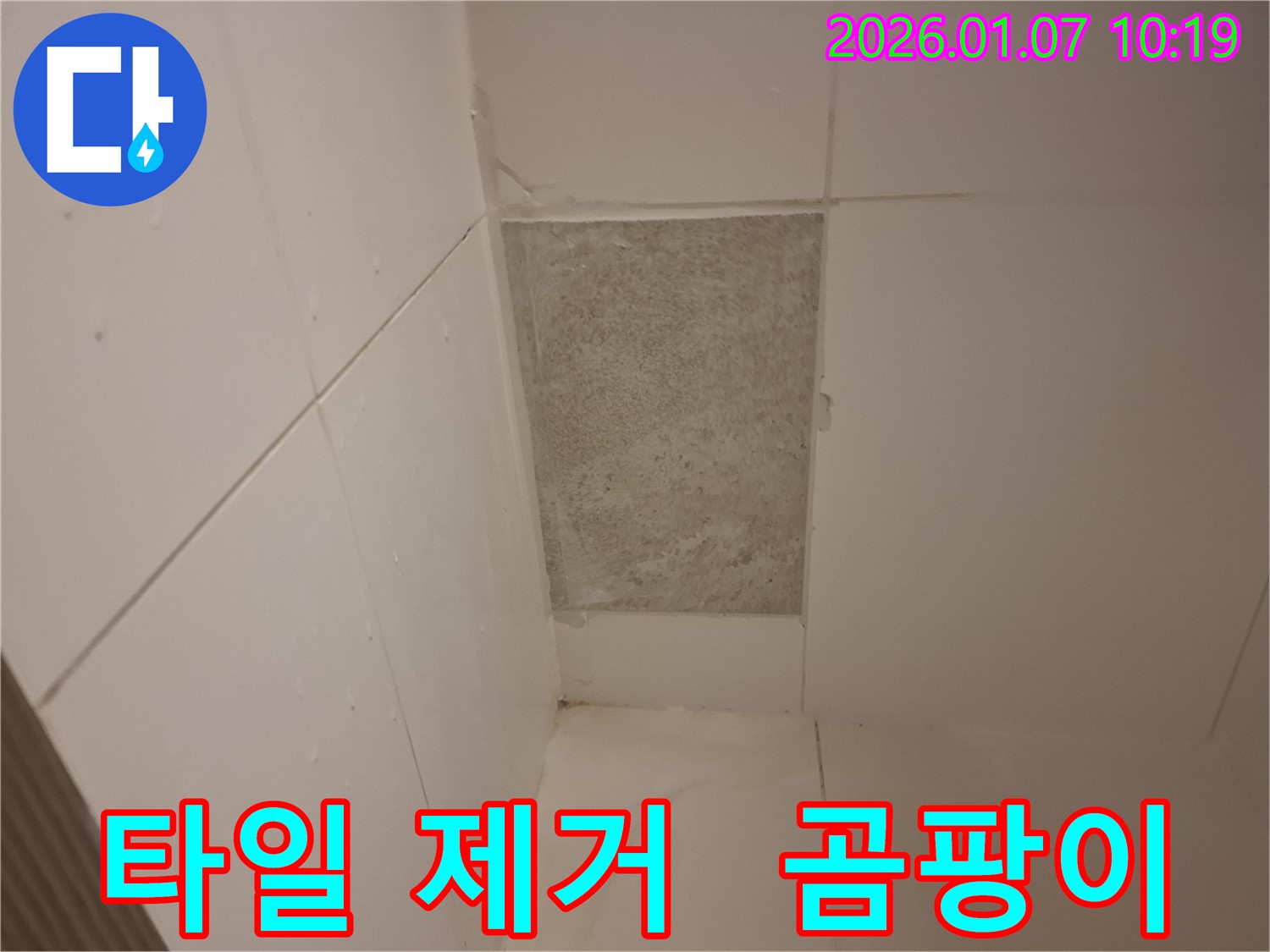 용인시 모현에서 타일 제거 후 발견된 충격적인 곰팡이 - 누수 해결이 시급합니다!