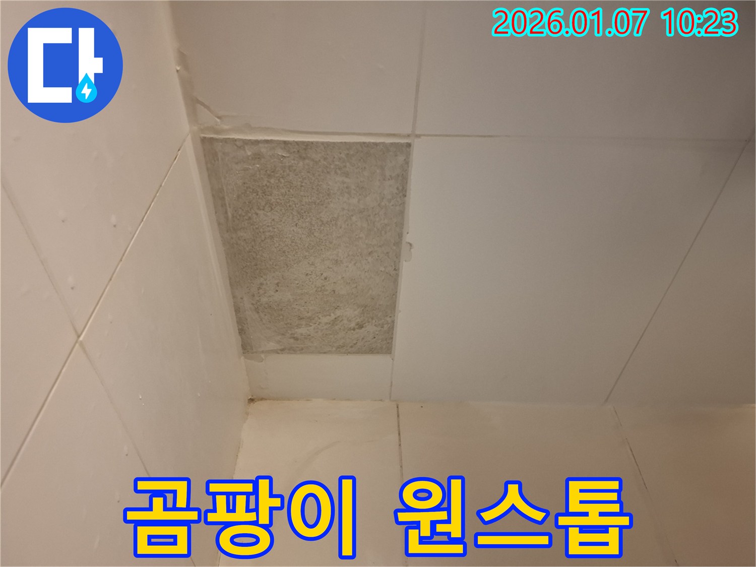 용인시 모현읍 누수 - 곰팡이 핀 타일 문제, 누수 탐지부터 곰팡이 제거, 방수까지 원스톱 해결!