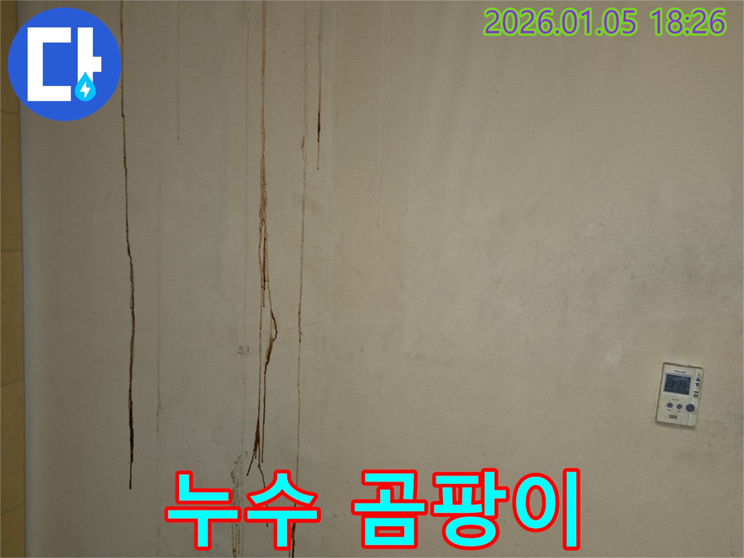 남양주 진건 누수 곰팡이 - 누수 해결 후 곰팡이 제거까지 완벽하게!
