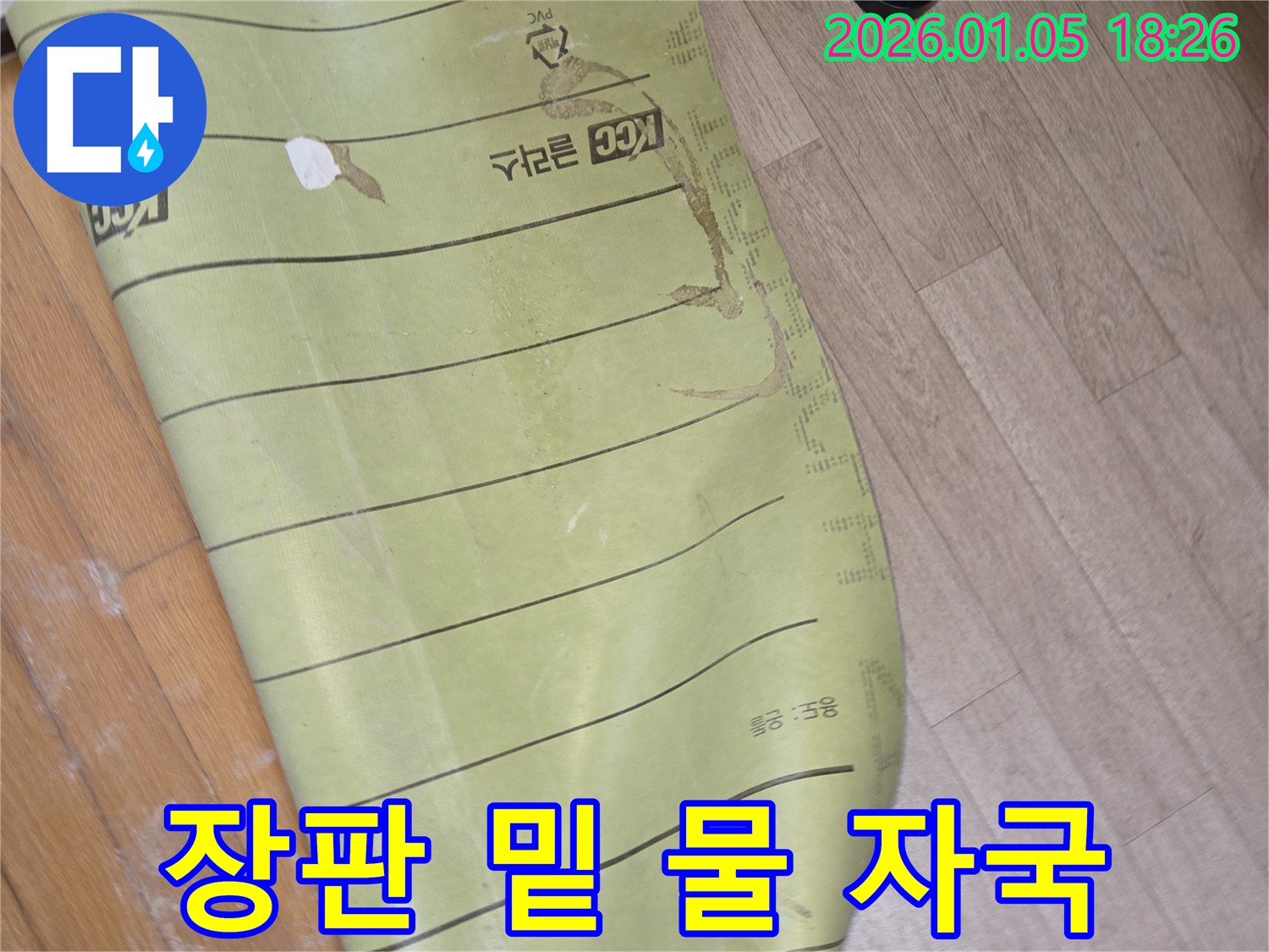 남양주 진건읍 사릉리 누수 - 장판 밑에 생긴 물 자국, 누수의 심각성을 보여줍니다.