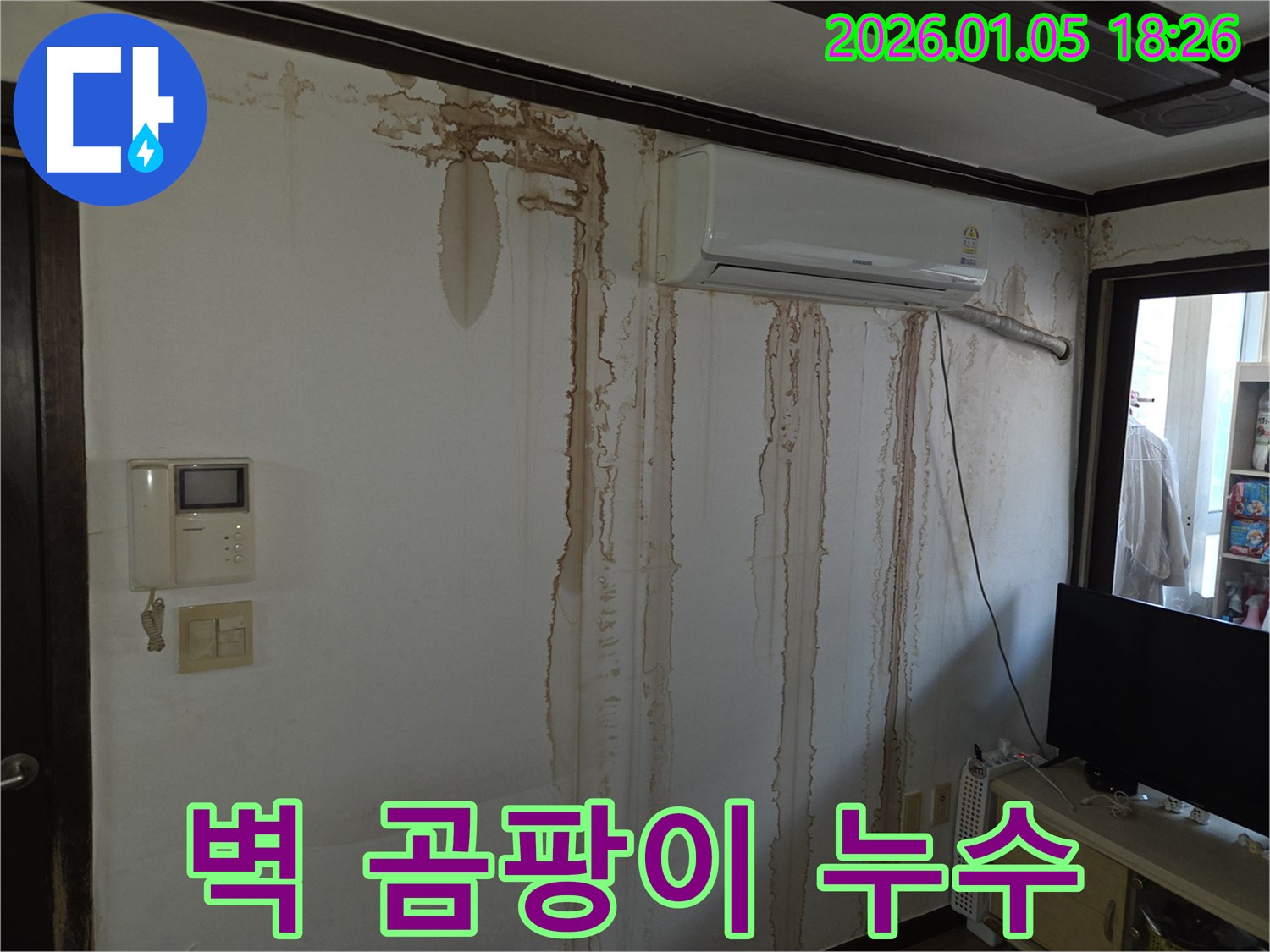 벽에 곰팡이가 핀 모습 - 누수로 인한 곰팡이 발생입니다. 곰팡이 제거와 누수 해결이 필요합니다.