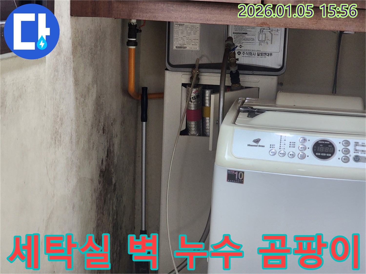 세탁실 벽 누수 - 곰팡이 문제 해결을 위한 누수탐지