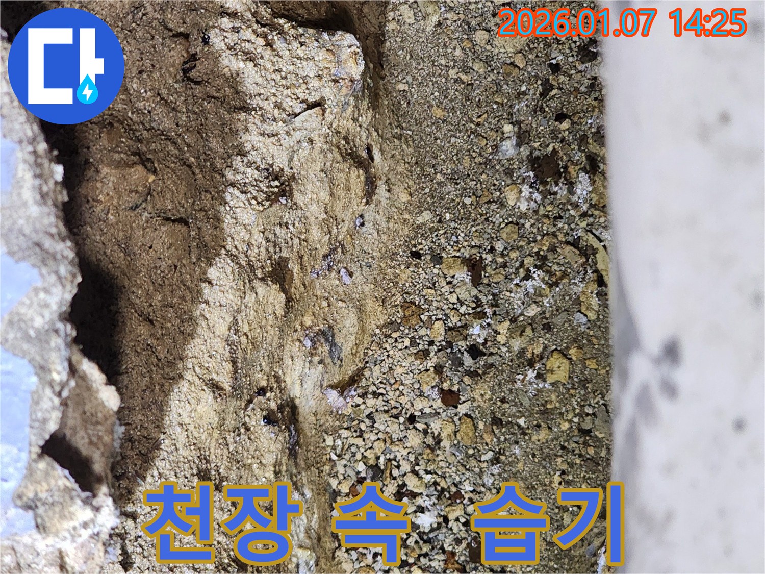 토정로 누수 - 천장 속에 습기가 가득 찬 모습