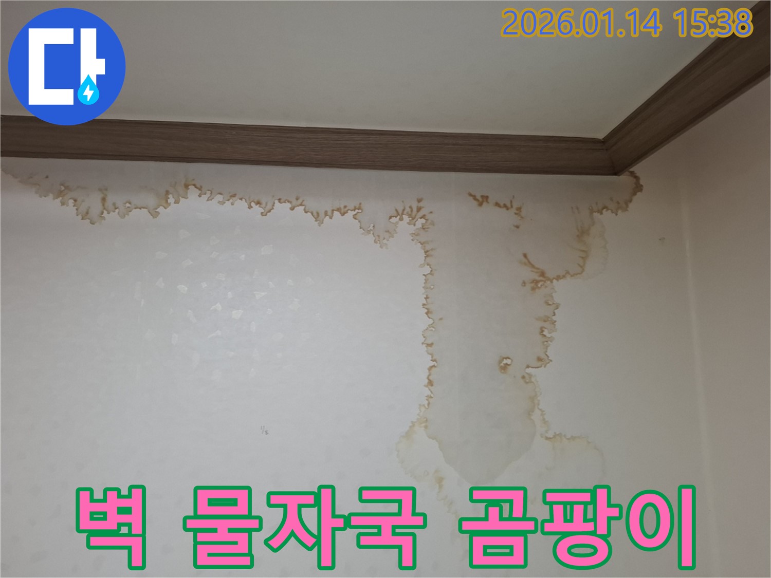 시흥 황고개로206번길 누수 - 벽에 생긴 물자국, 곰팡이 지옥으로 변하기 전에 해결