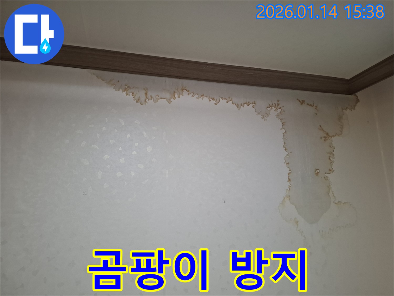 황고개로206번길 누수 - 누수 해결 후 곰팡이 방지 서비스까지 제공합니다 - 쾌적한 환경을 만들어 드립니다.