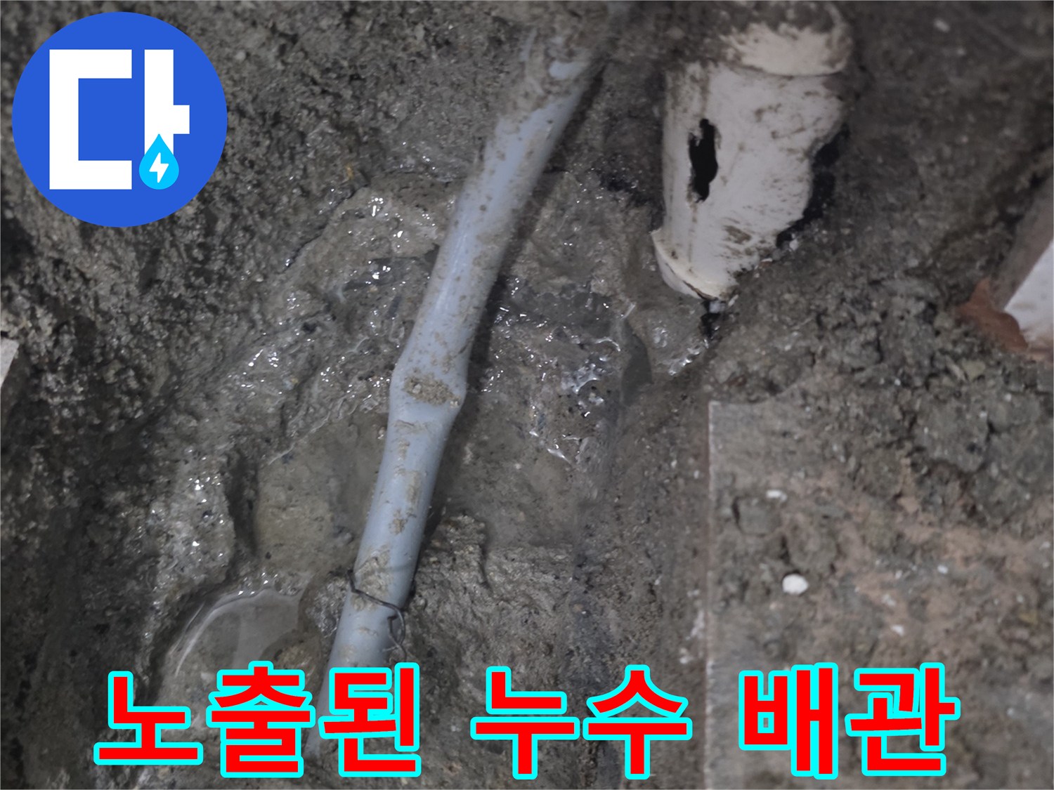 흙 속에 드러난 하얀색 배관과 고인 물
