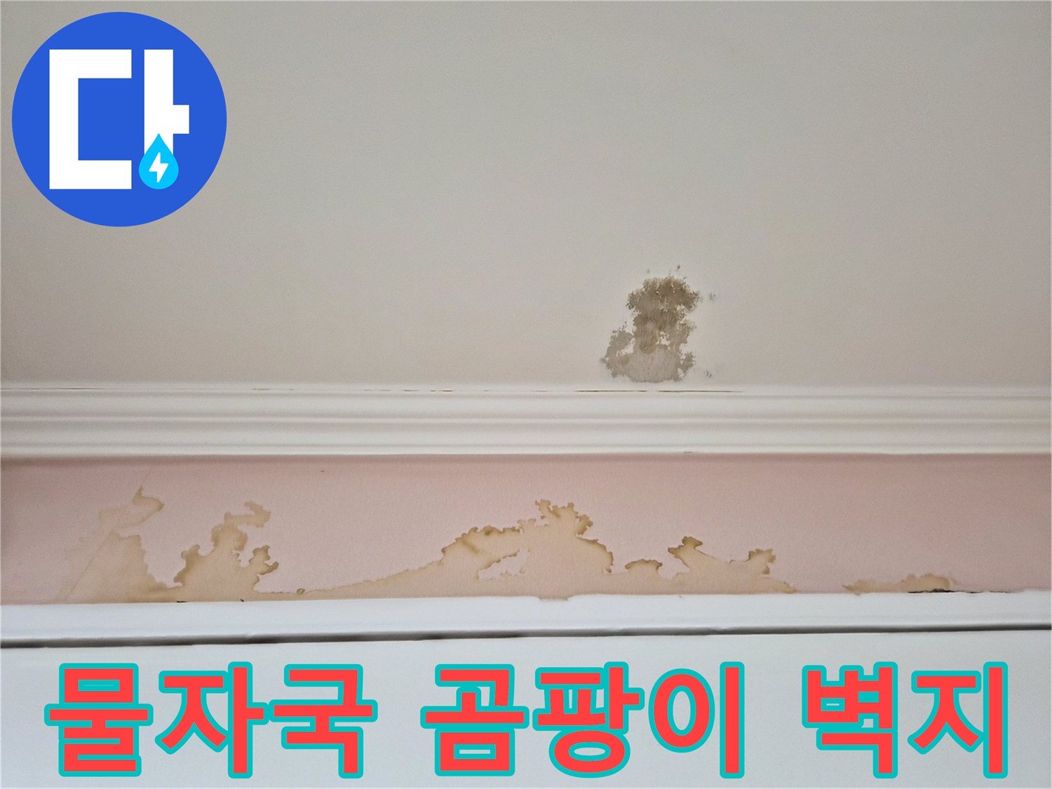 누수로 인한 천장 벽지의 변색과 곰팡이 발생 부위