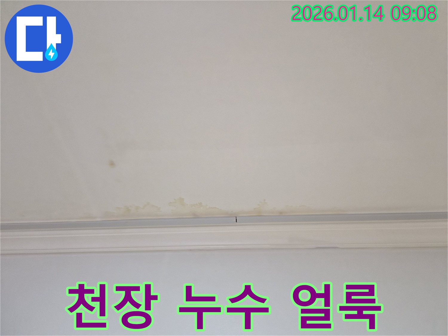 천장 누수 얼룩 - 누수 초기 증상 발견 시 빠른 대처의 중요성