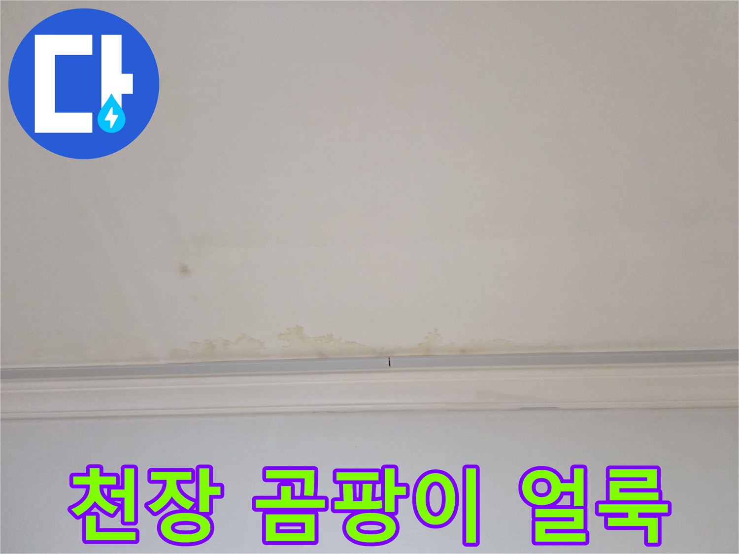 천장-면적에-넓게-퍼진-누수-유발-곰팡이-흔적