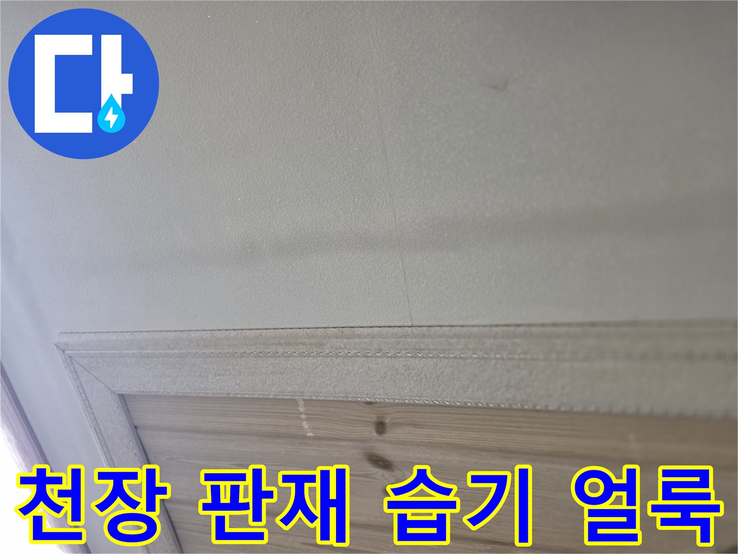 상록구 현장의 천장 마감재 습기 분포 상태