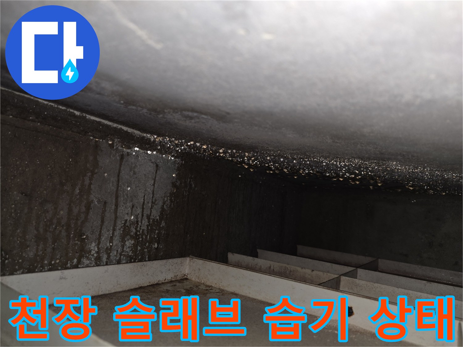 안산 상록구 현장의-천장 슬래브 표면에 습기가 가득하고 물방울이 맺혀 있는 모습입니다.