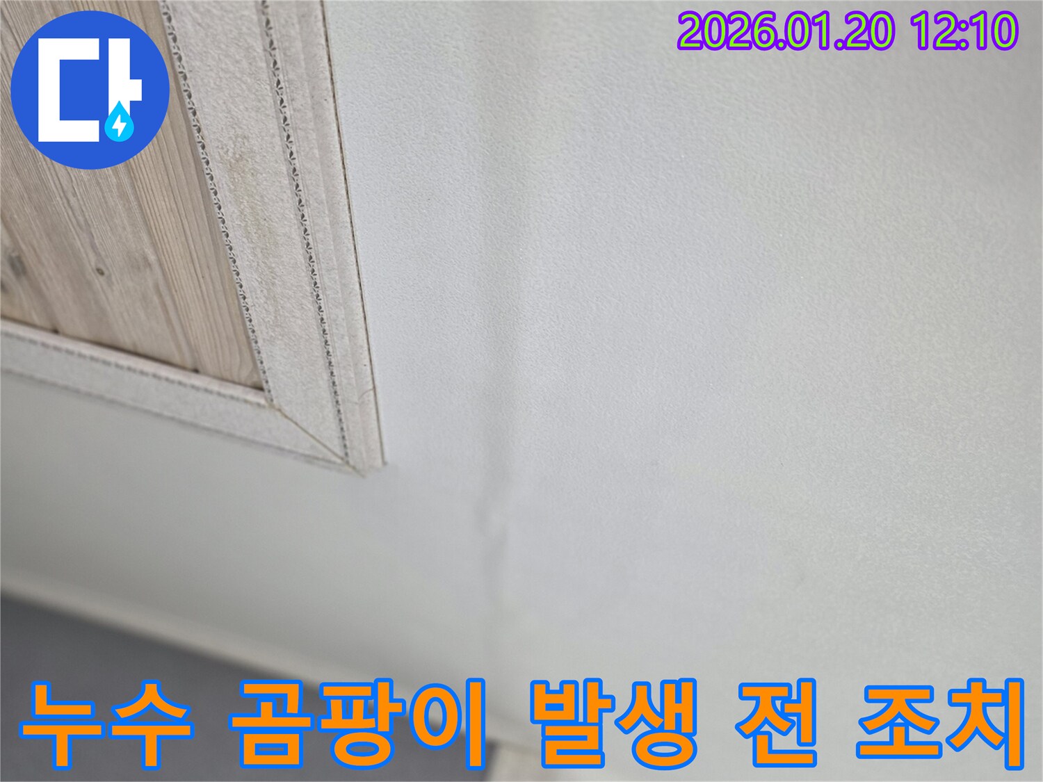 천장 누수 - 곰팡이 발생 전 조치 - 쾌적한 환경 유지