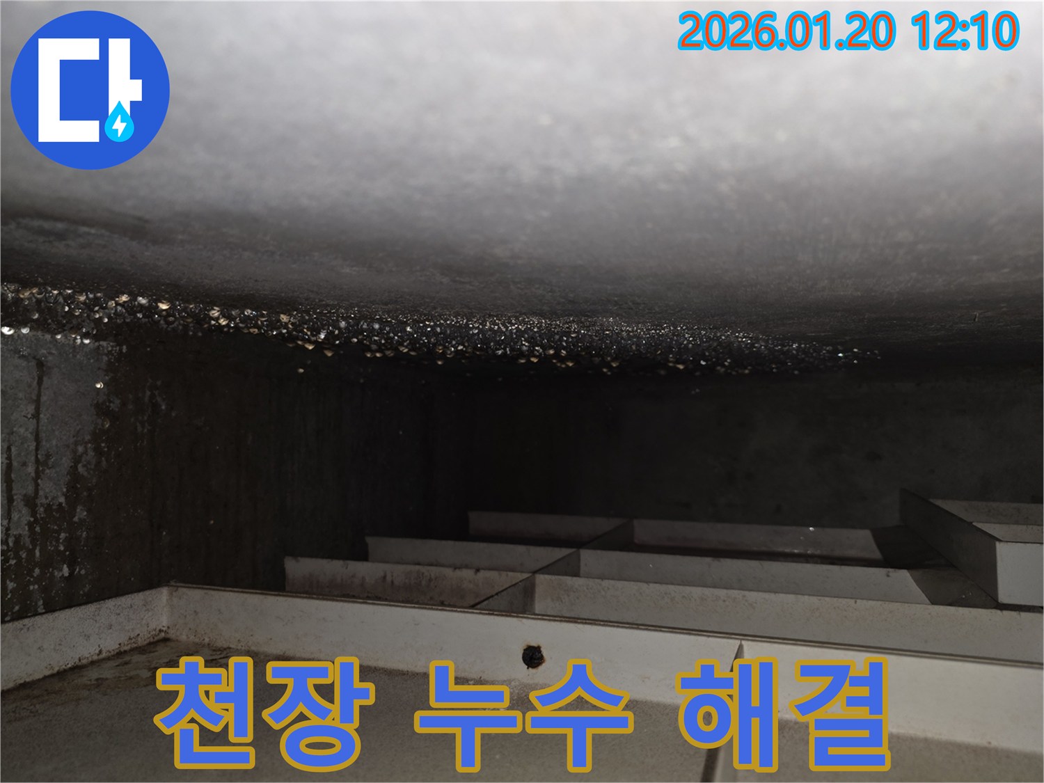 천장 누수 해결 - 완벽한 누수 공사로 쾌적한 환경 조성