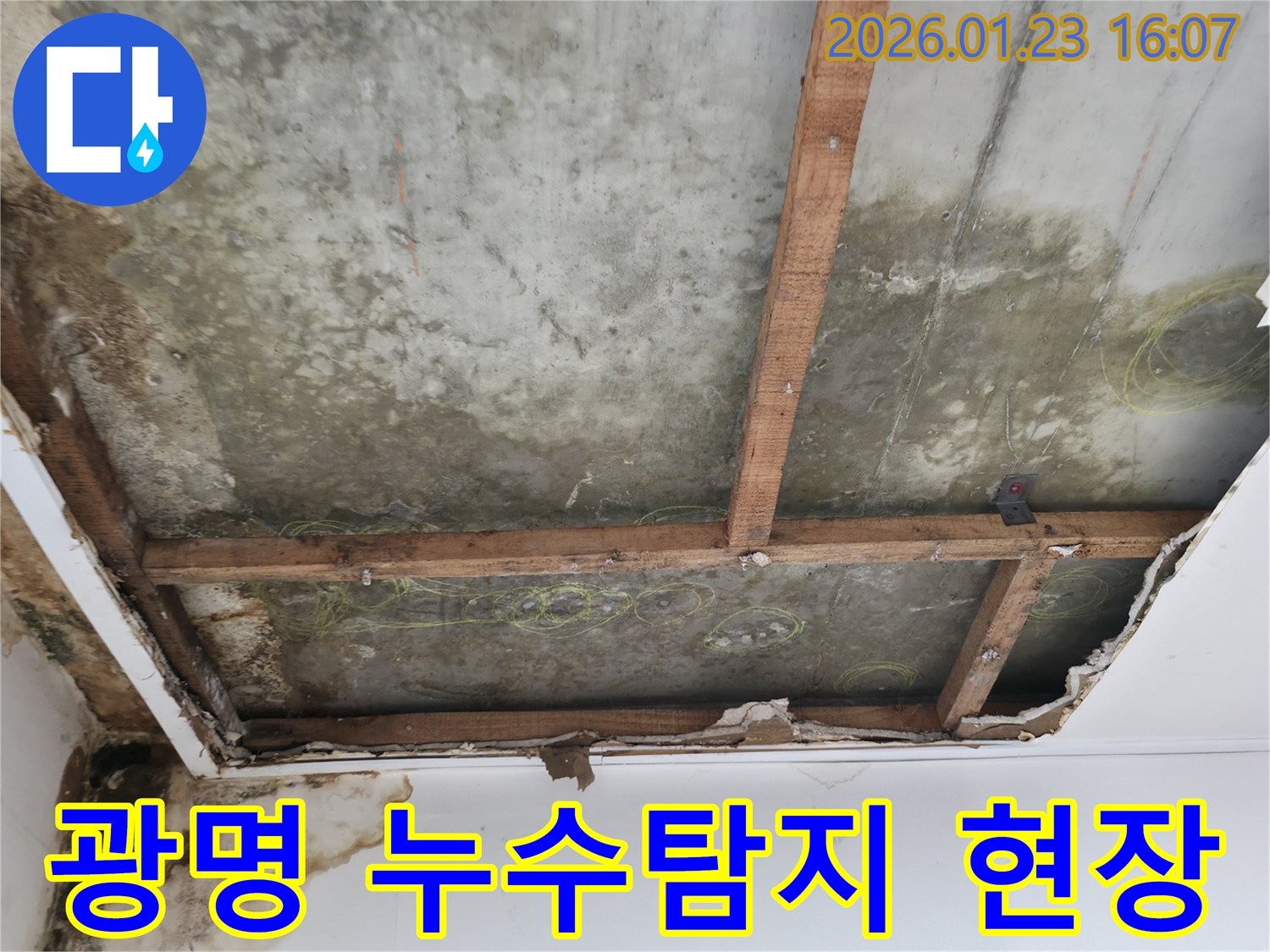 광명 지역 누수탐지 중-천장 마감재가 제거되고-콘크리트 슬라브에 물자국이 선명한 현장