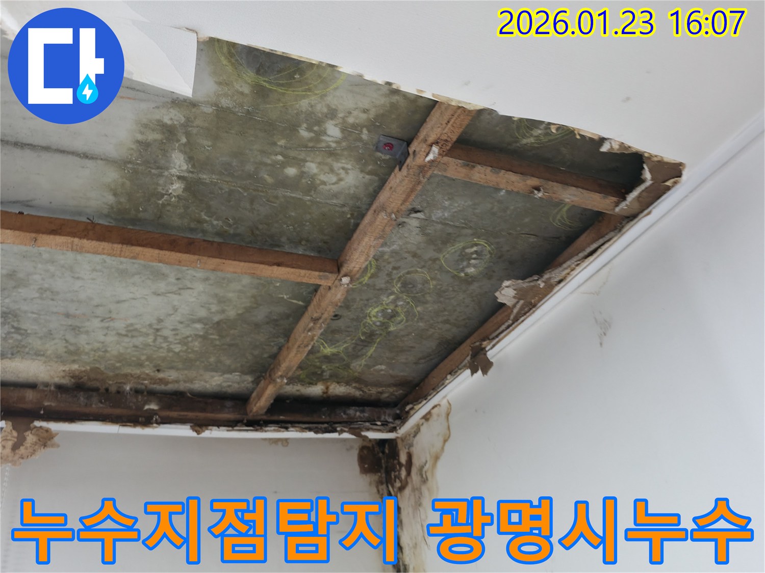 천장-누수로-인해-손상된-부분을-드러내고-누수-원인을-찾는-전문가의-작업-현장