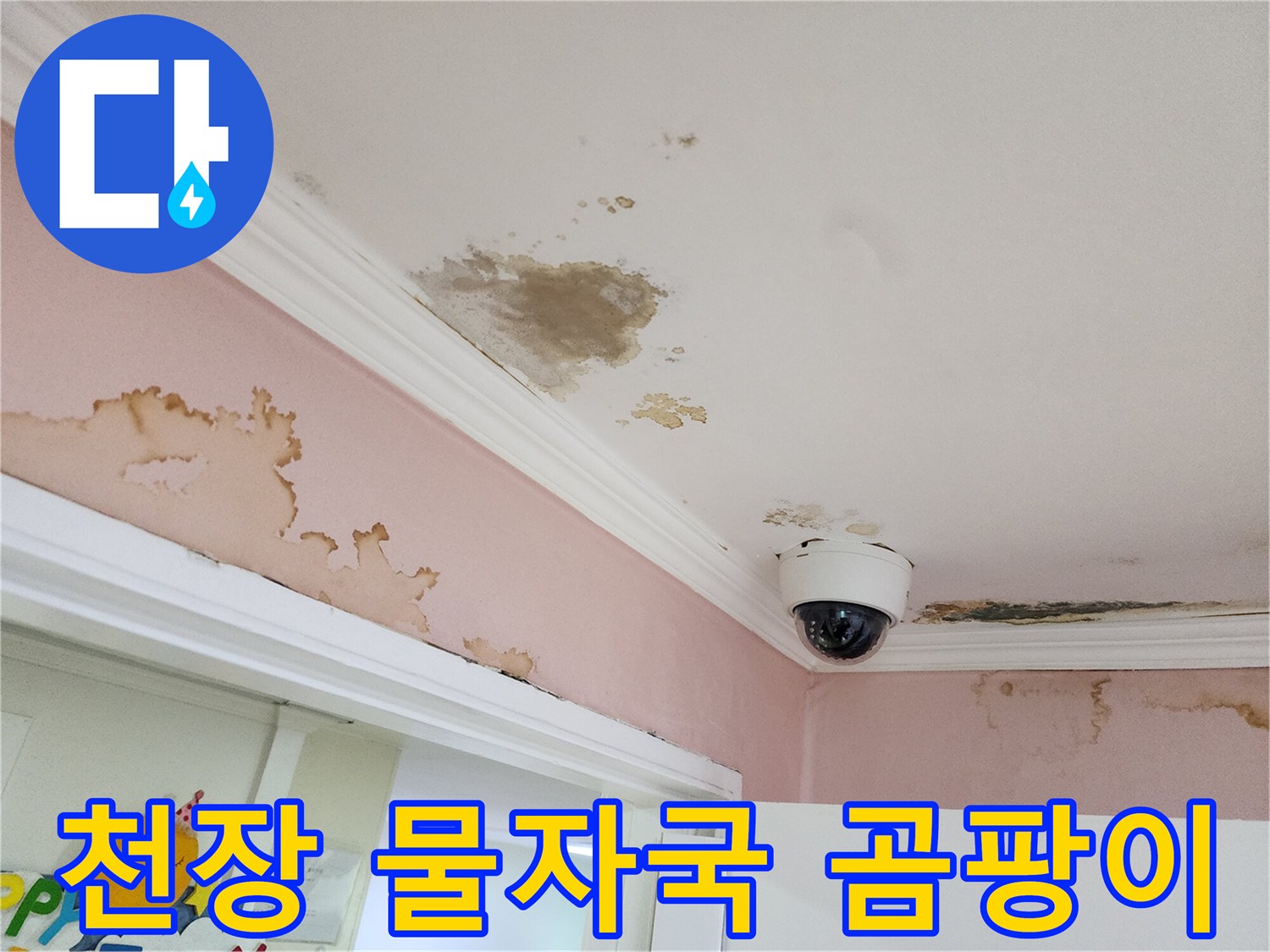 강남구 아파트 천장-물자국과 곰팡이가 발생한 모습입니다.