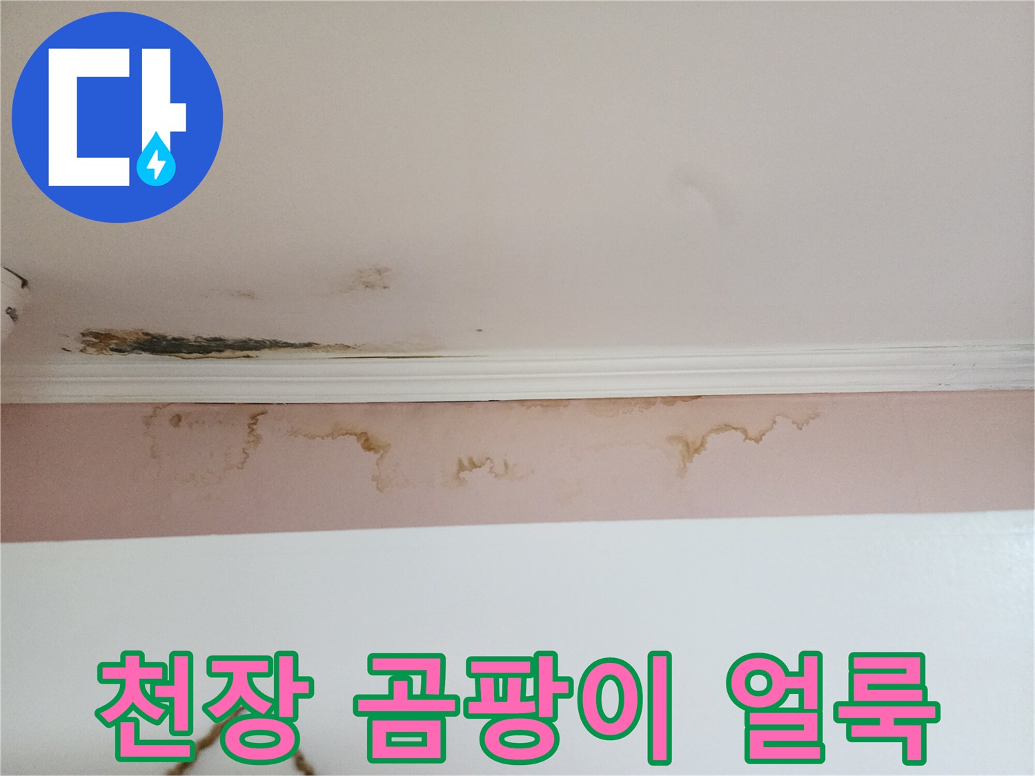 강남구 아파트-천장 벽지 곰팡이와 누수 흔적