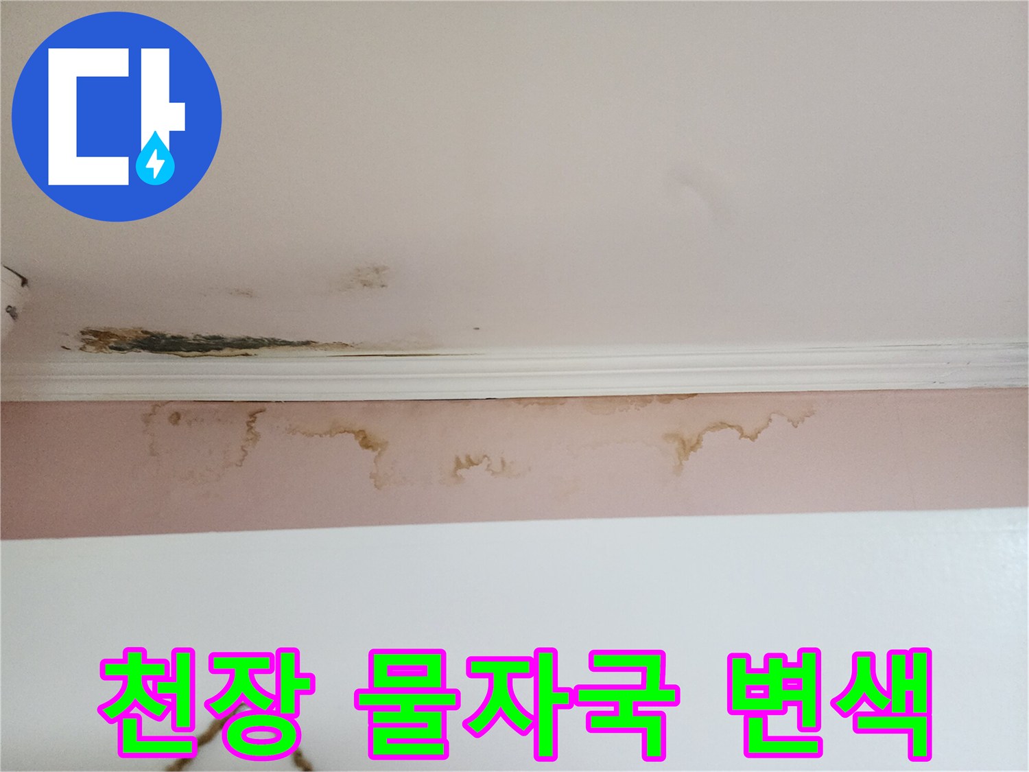 아래층 천장과 벽면에 나타난 누런 물자국 및 곰팡이 흔적